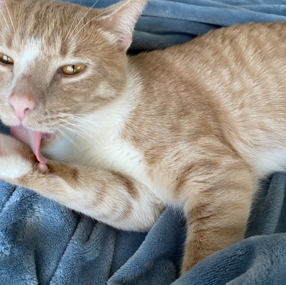 Picture of Lilly Hapke