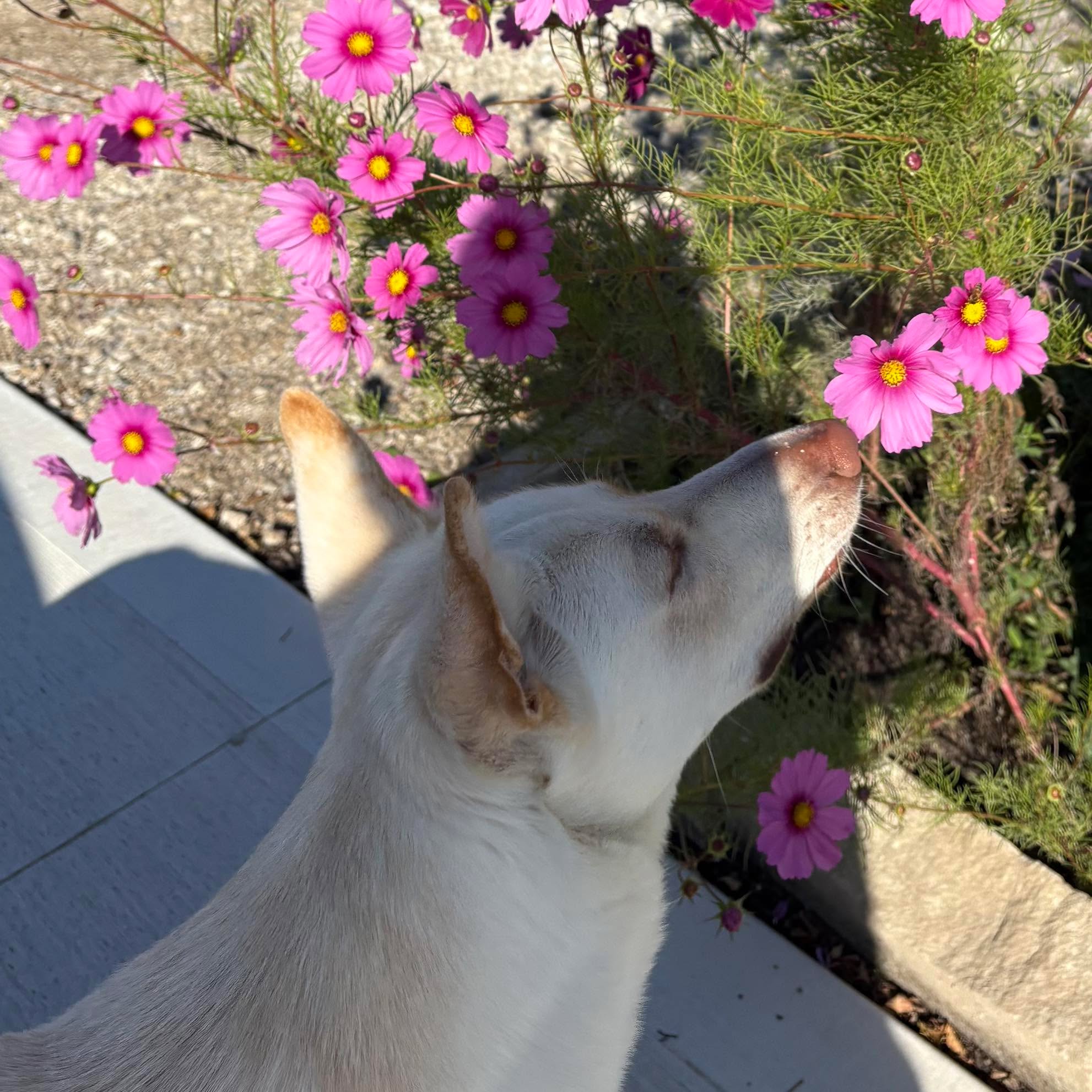 Picture of John Pardee