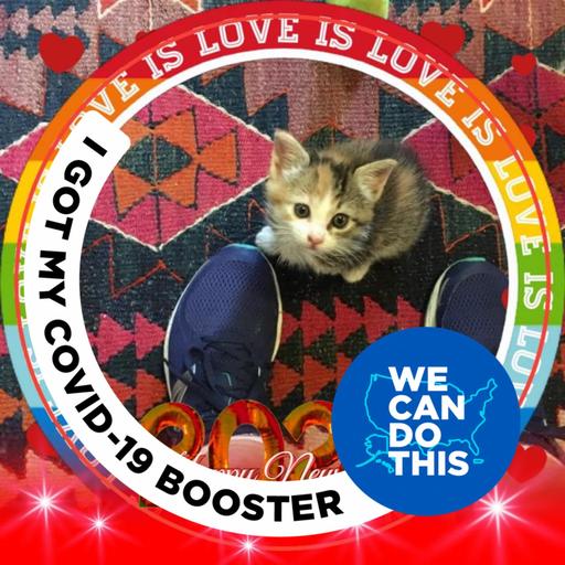 User profile photo