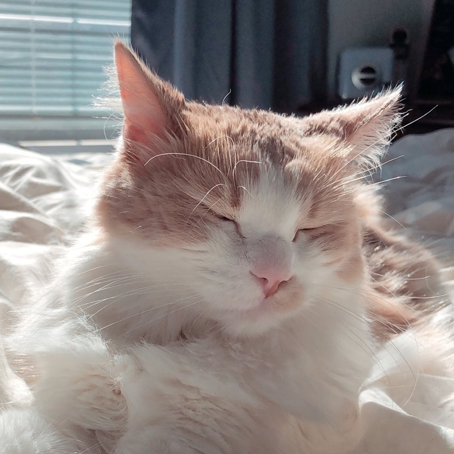 Picture of Grace Chi