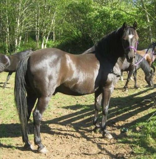 user profile icon inside a circle