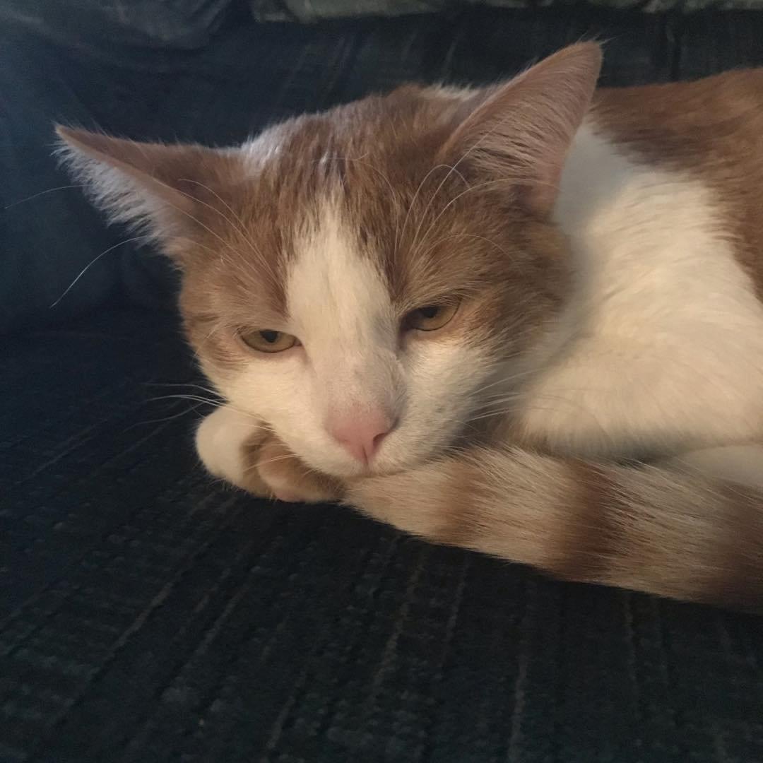 Picture of Stacey Biehl