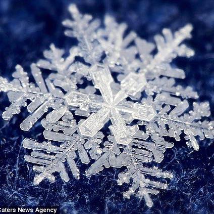 Picture of Tracie Kazda