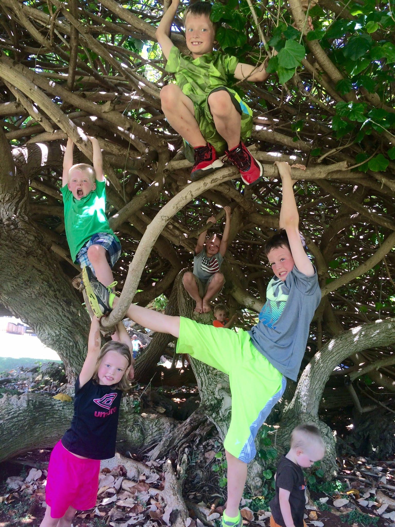 Hans is always the first to t…