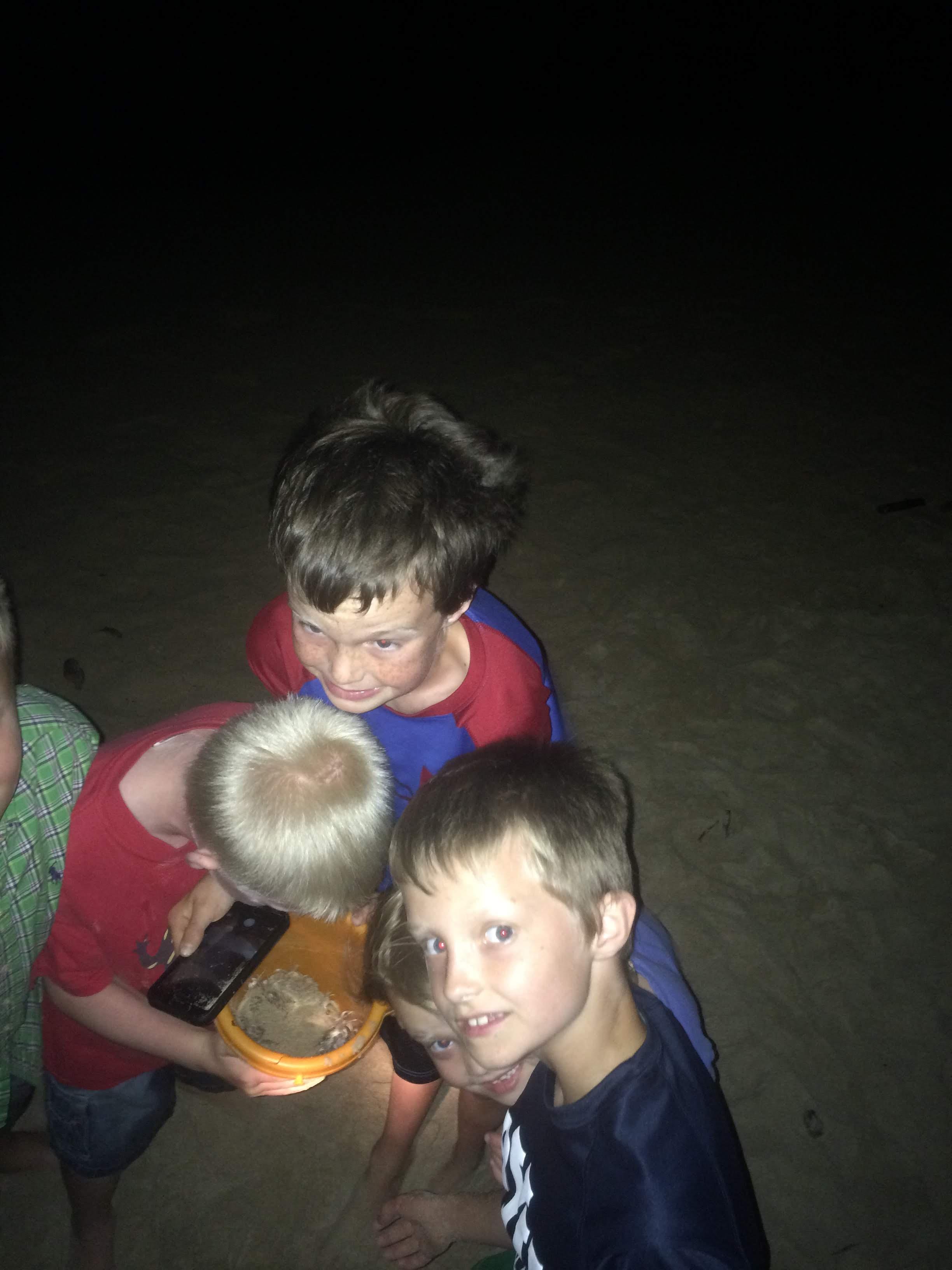 Night crab catching