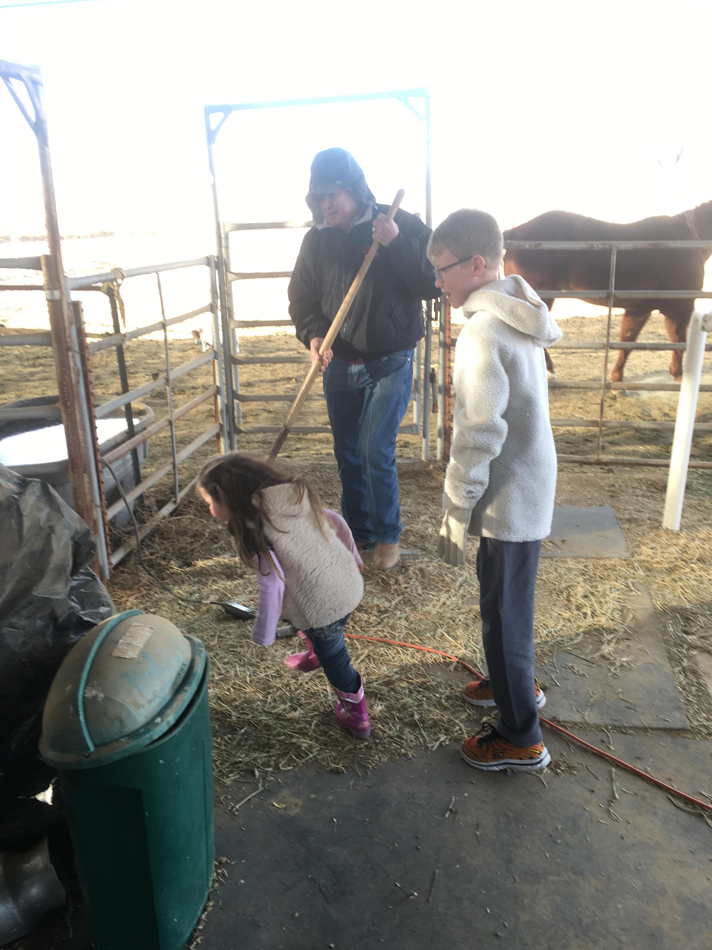 Feeding the horses with Grand…