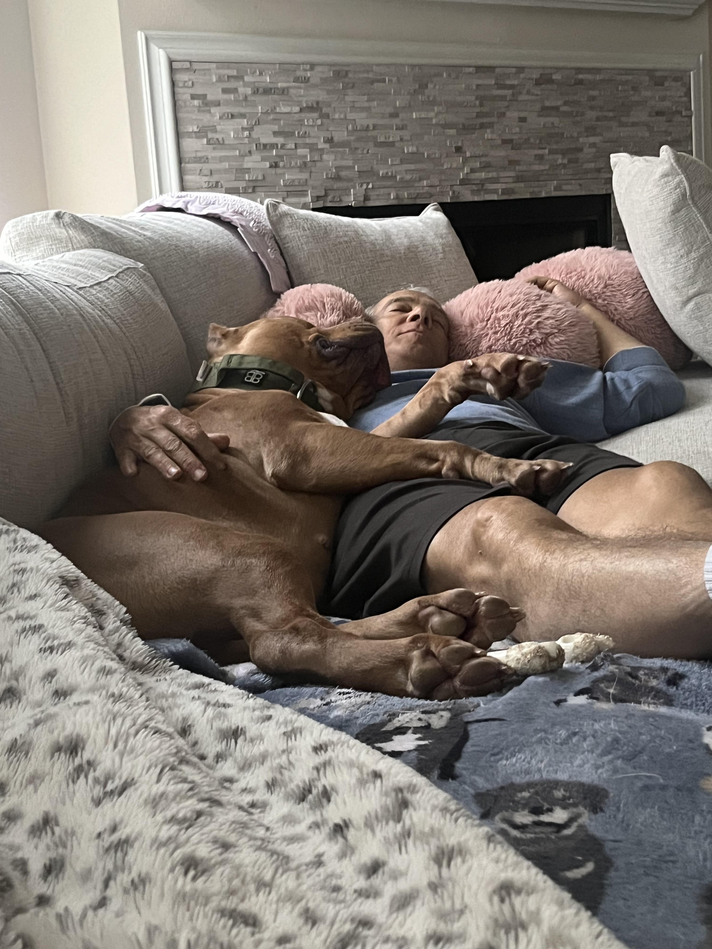 Dad napping with Sadie