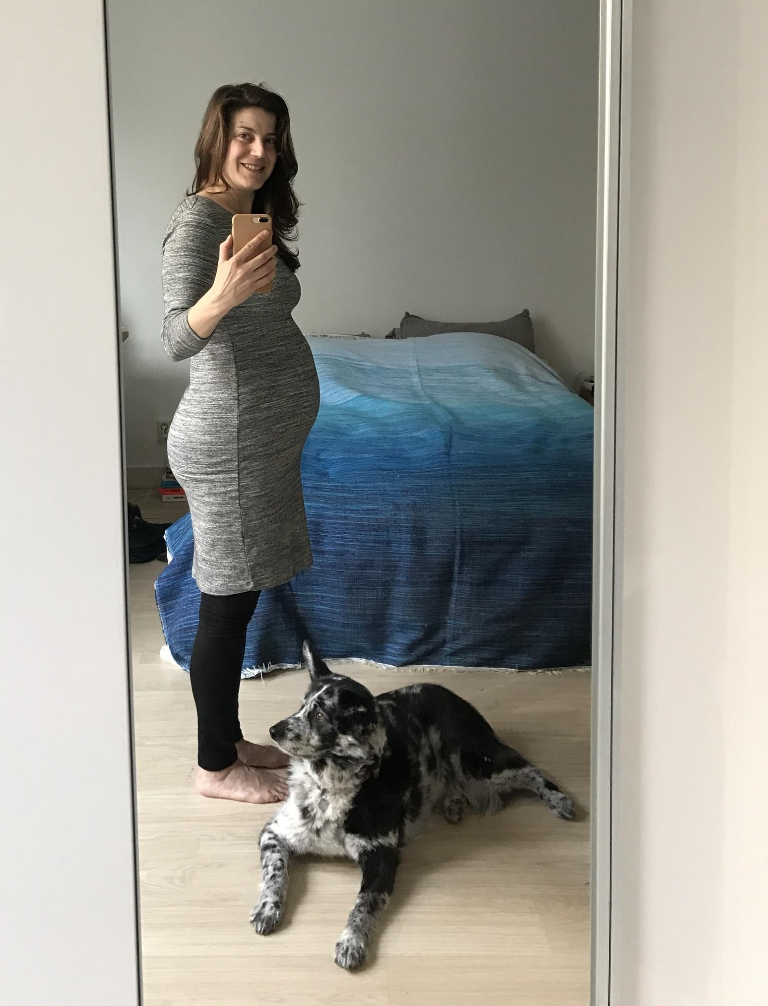 Sarah’s daily companion(s) in…