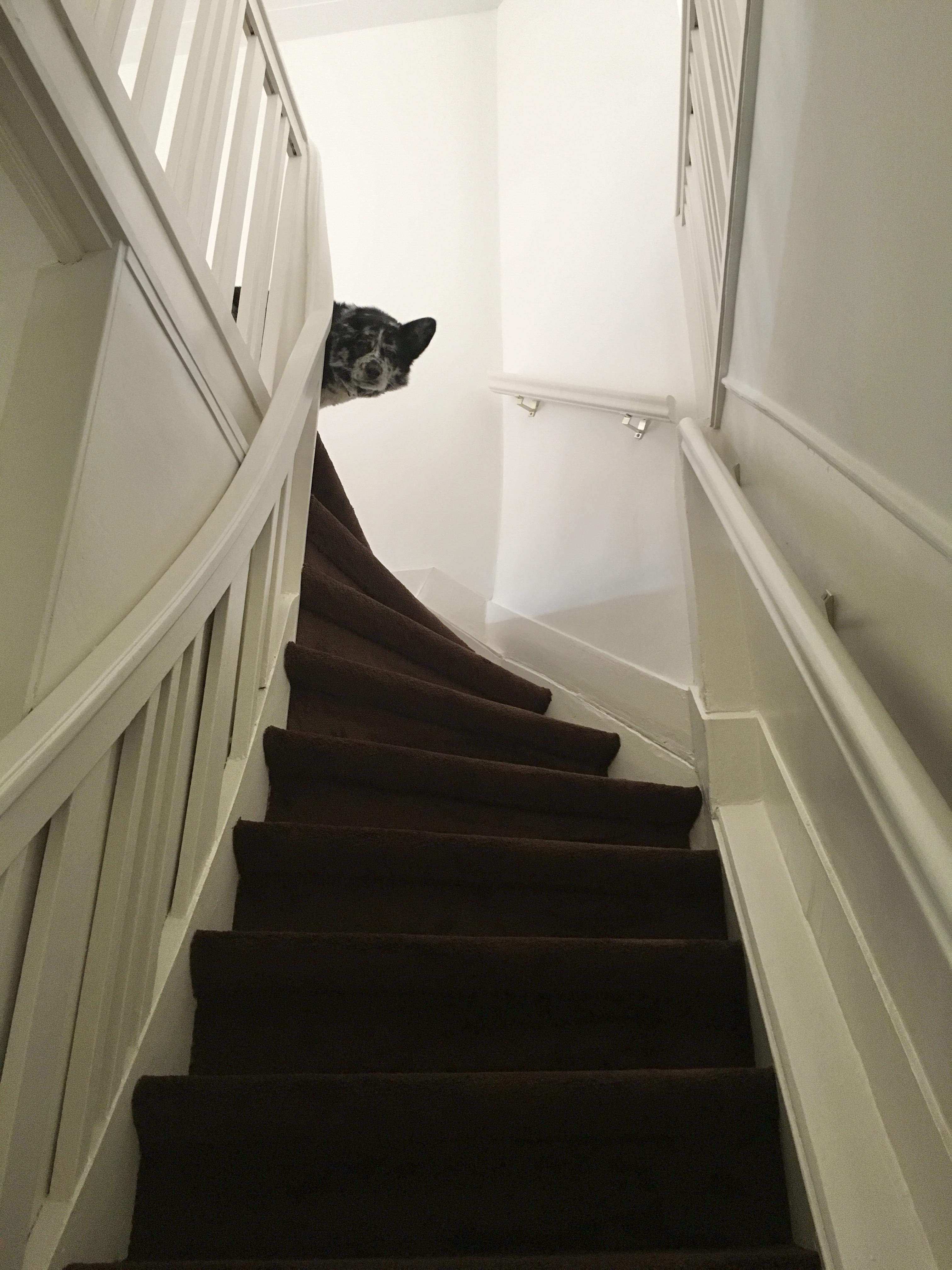 Always her favorite spot at t…