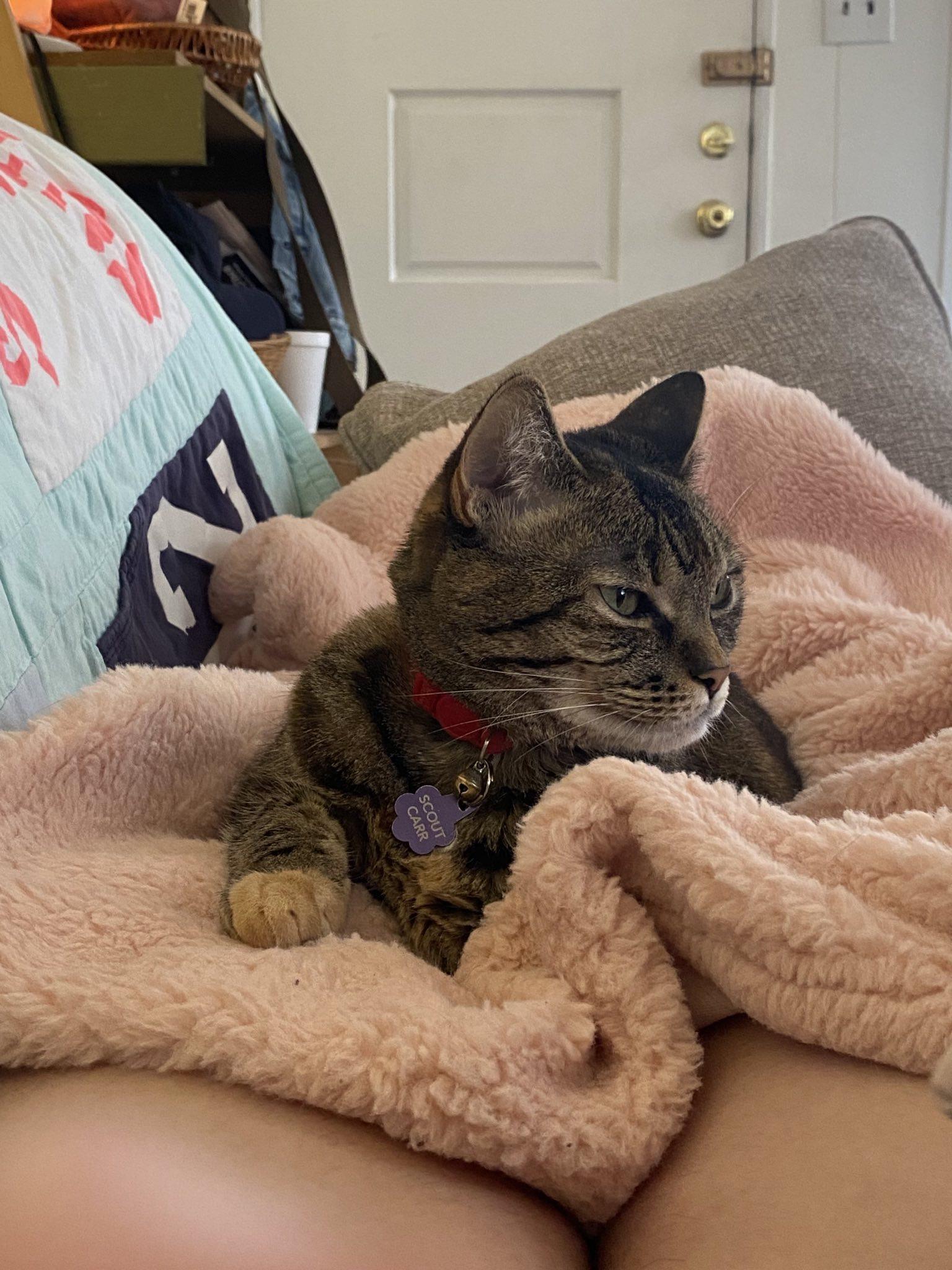 A photo they sent me of their…