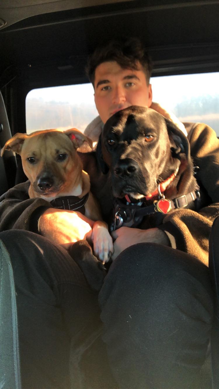 After a hike with the pups