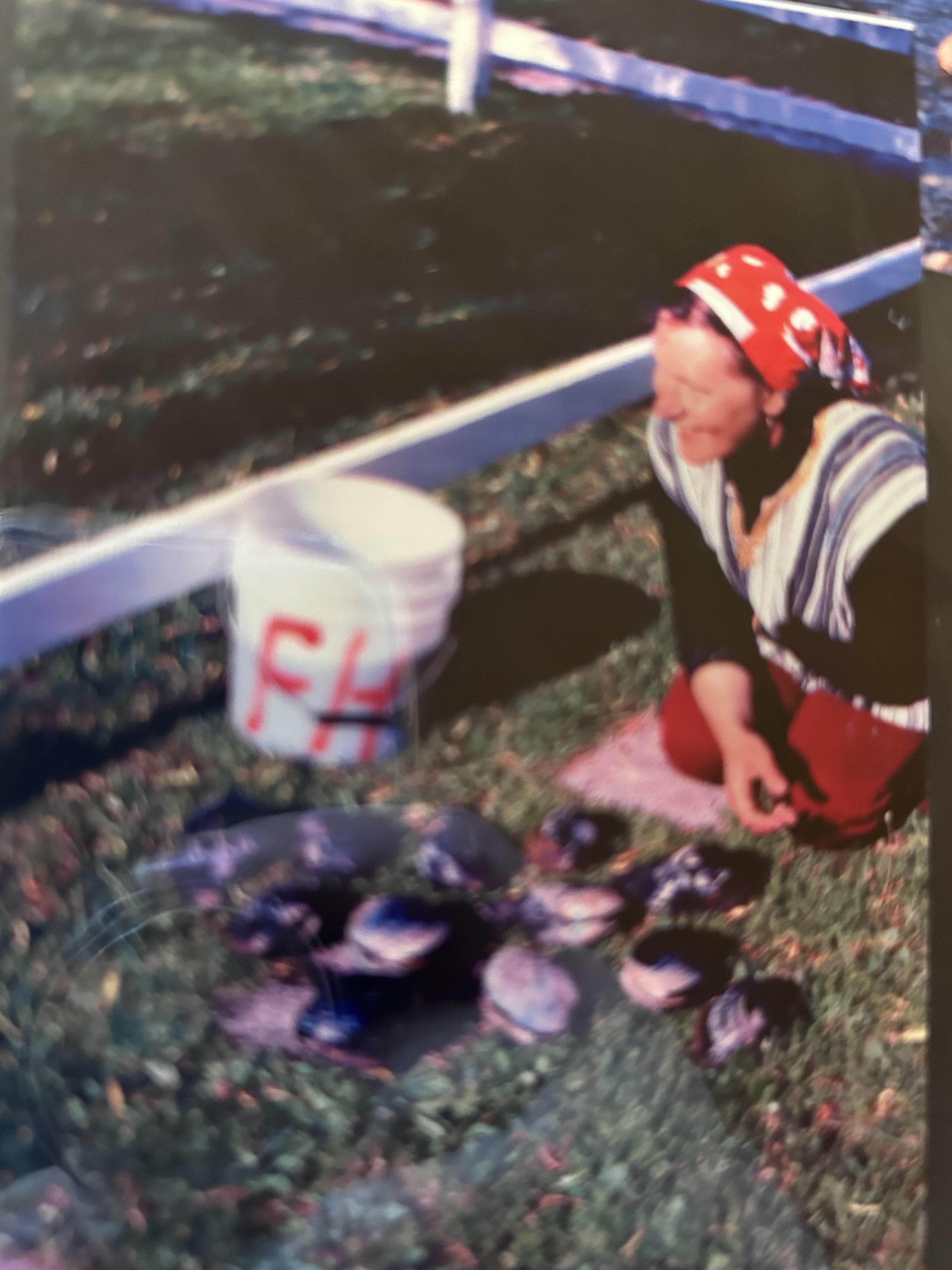 Clamming