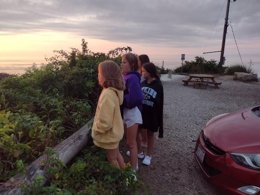 Manomet whale watching at sun…