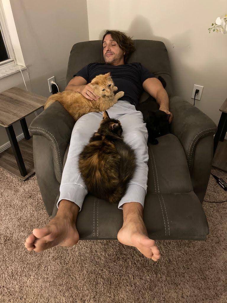 Who can spot the BlackCat?