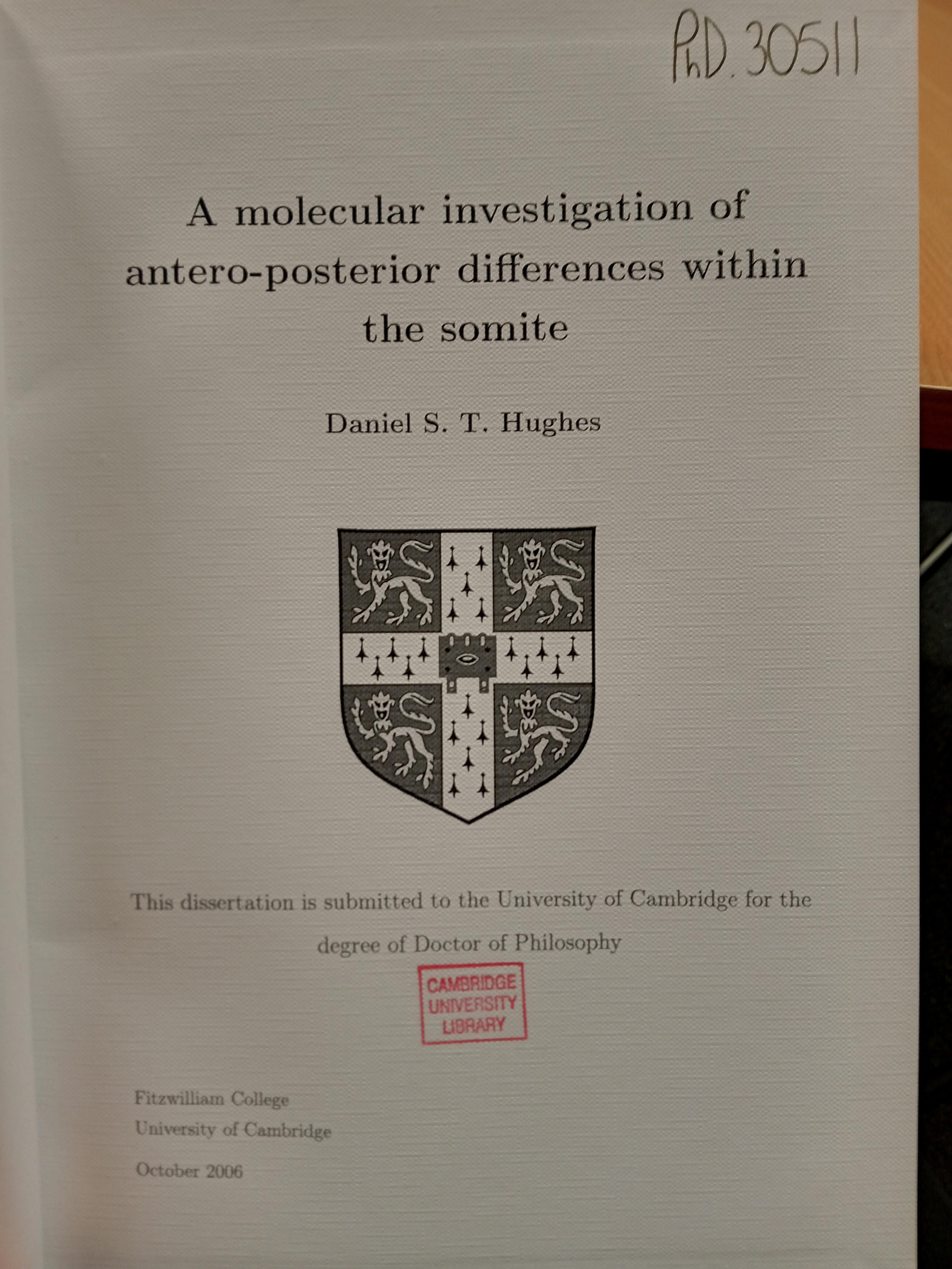 Dan's PhD thesis. 