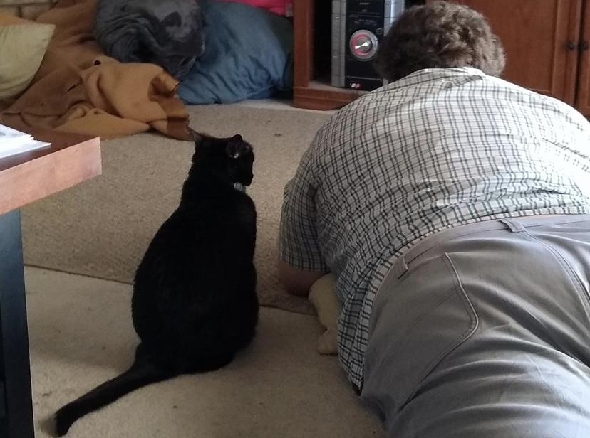 Molly helps Dad study for his…