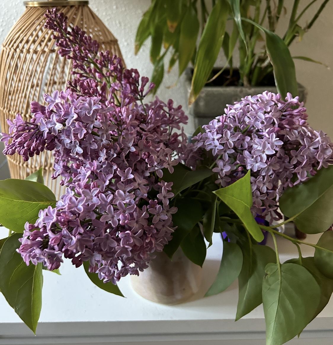 Anna’s favorite flowers were …