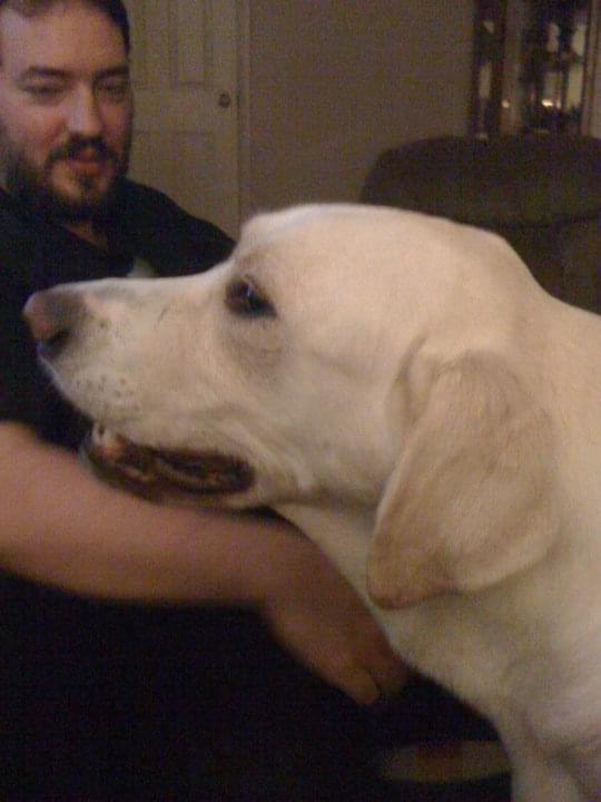 My dog Sam “guarding” me from…