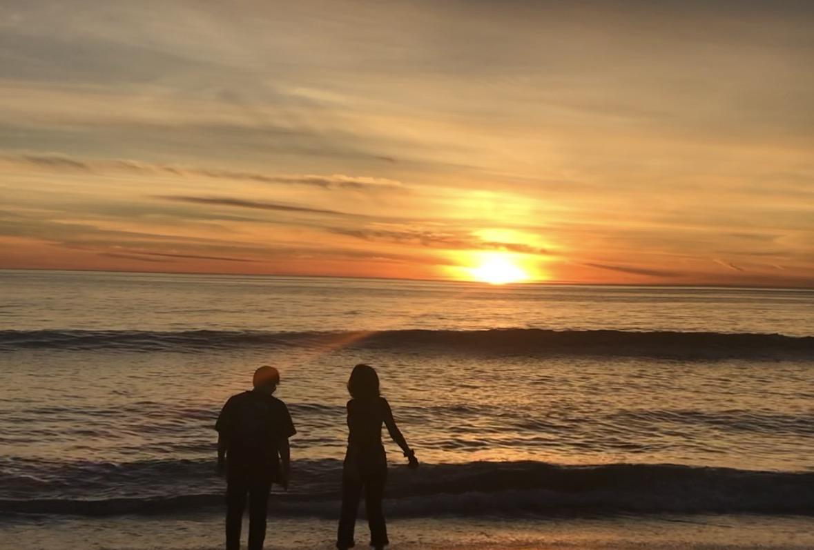 Cuties at sunset