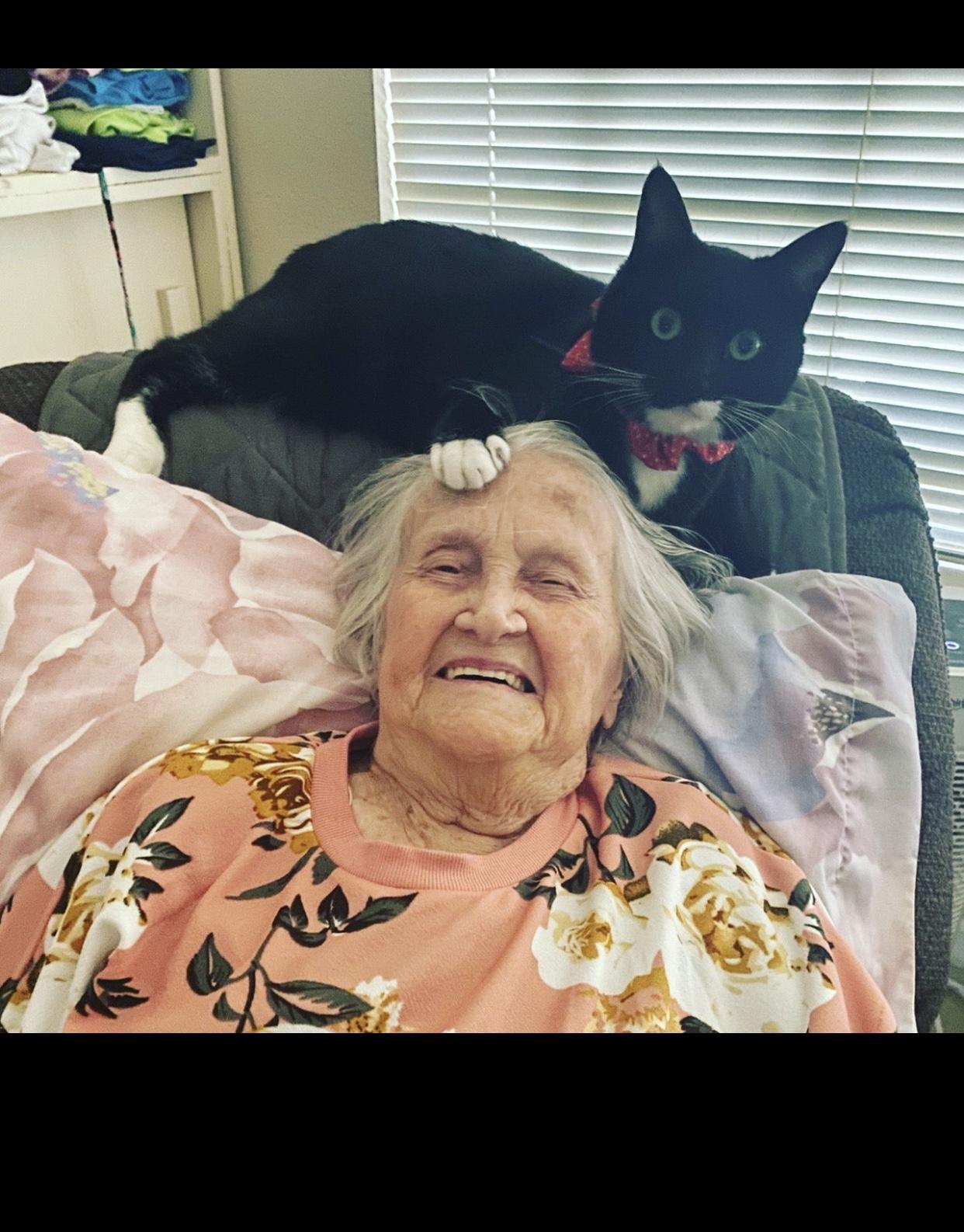 At Home with the Cats🐈‍⬛