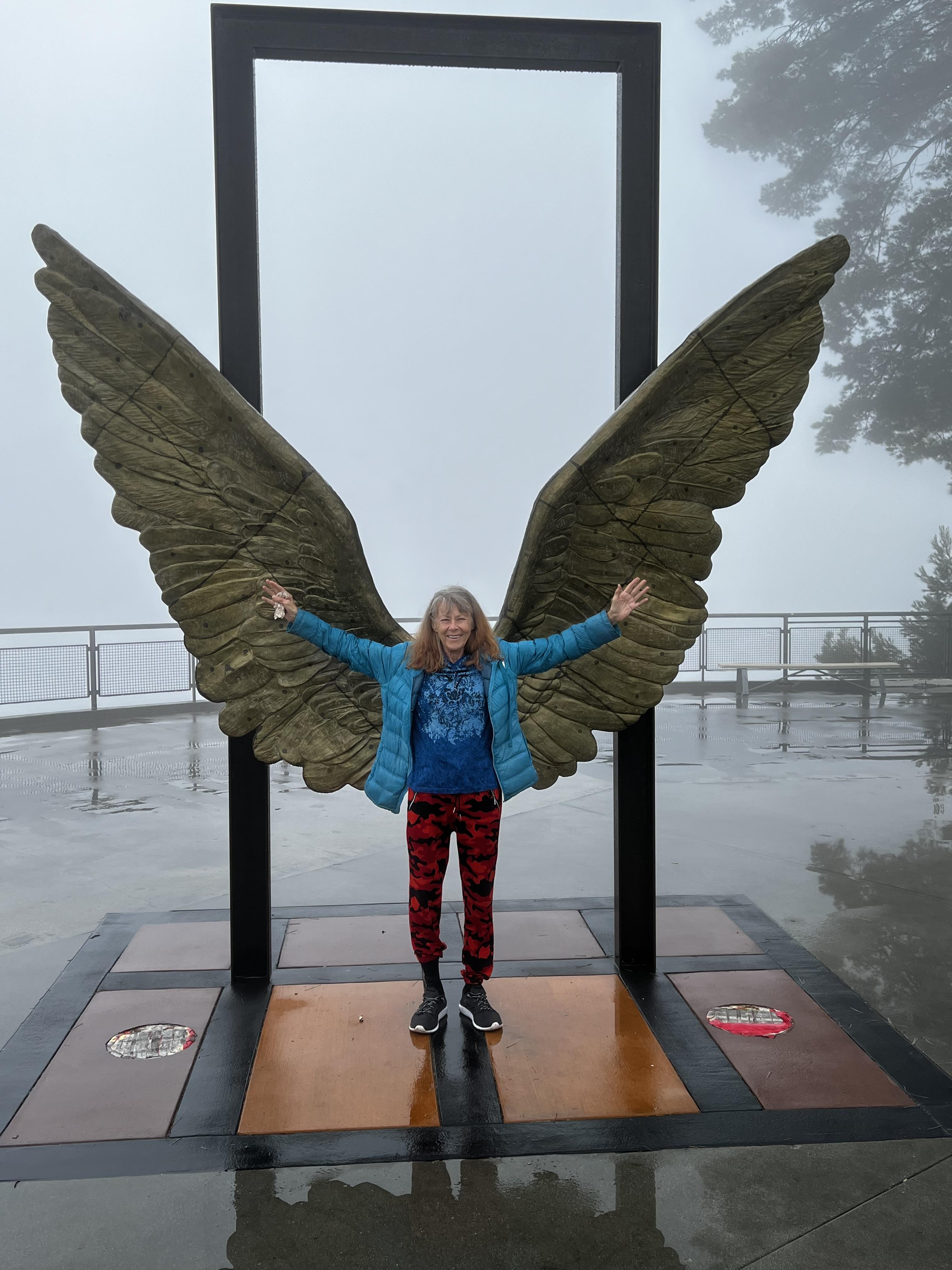Angel Wings