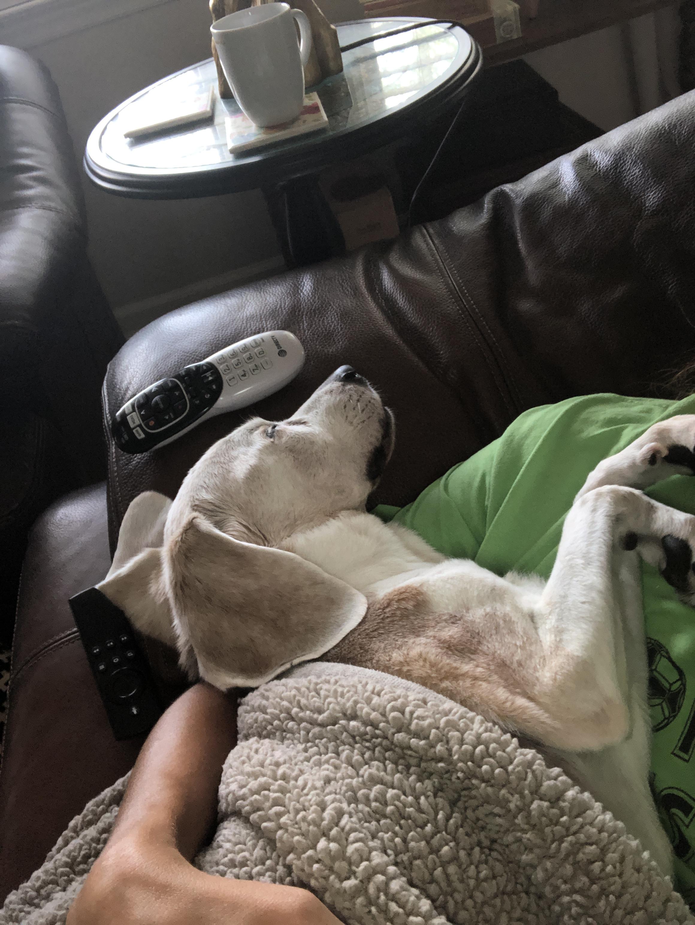 Recuperating after a congesti…
