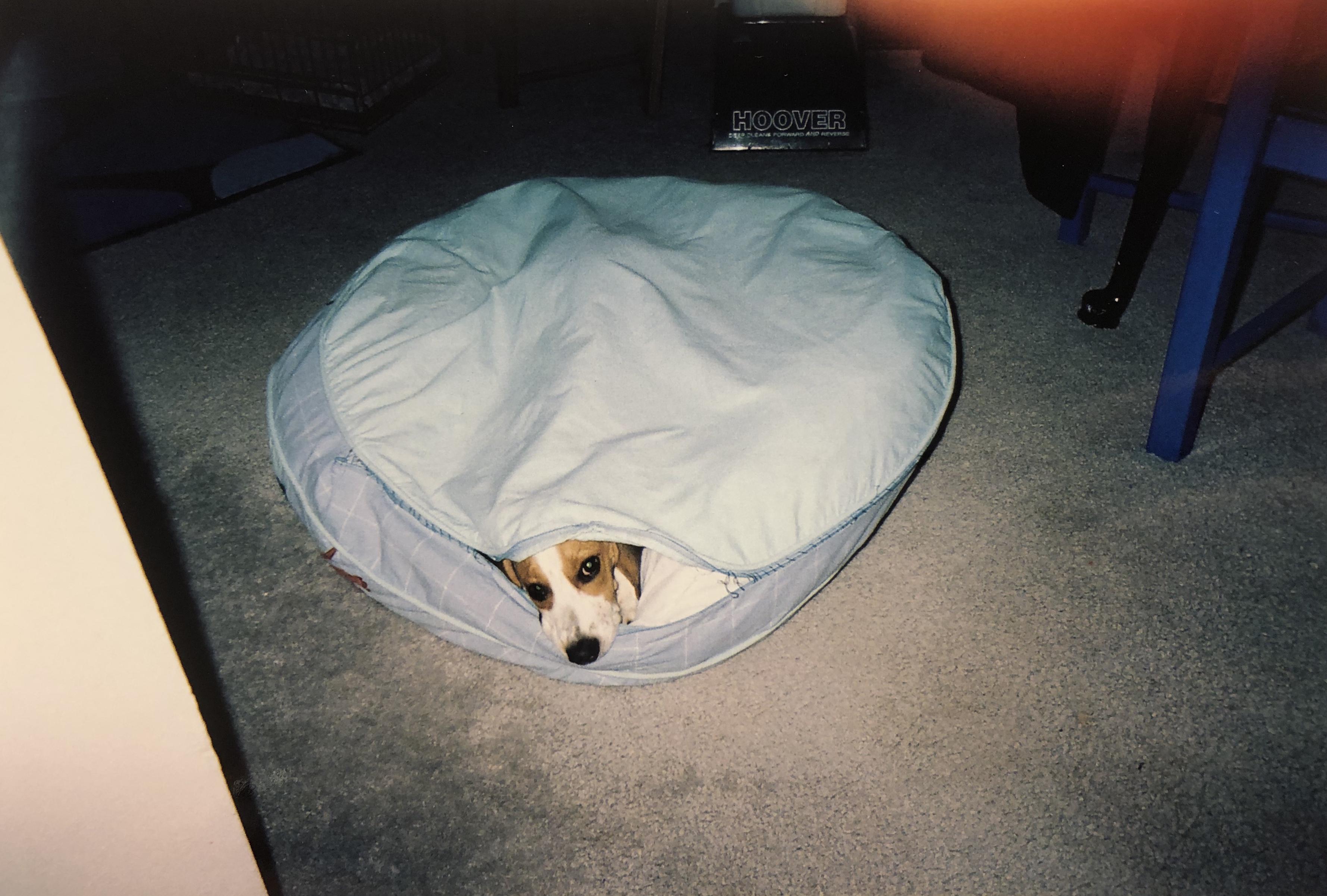 He made his own cozy cave