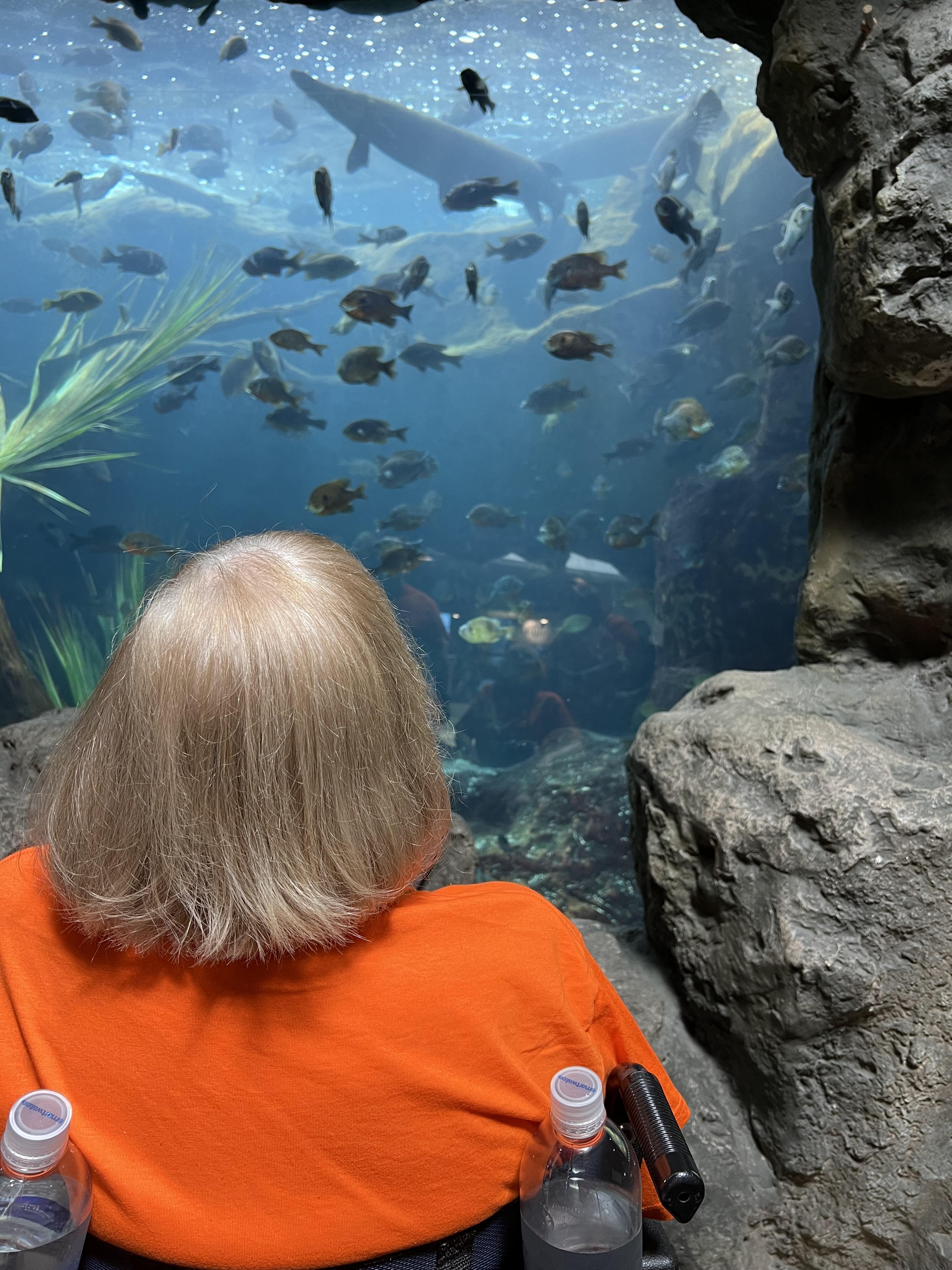A trip to the aquarium. Gramm…