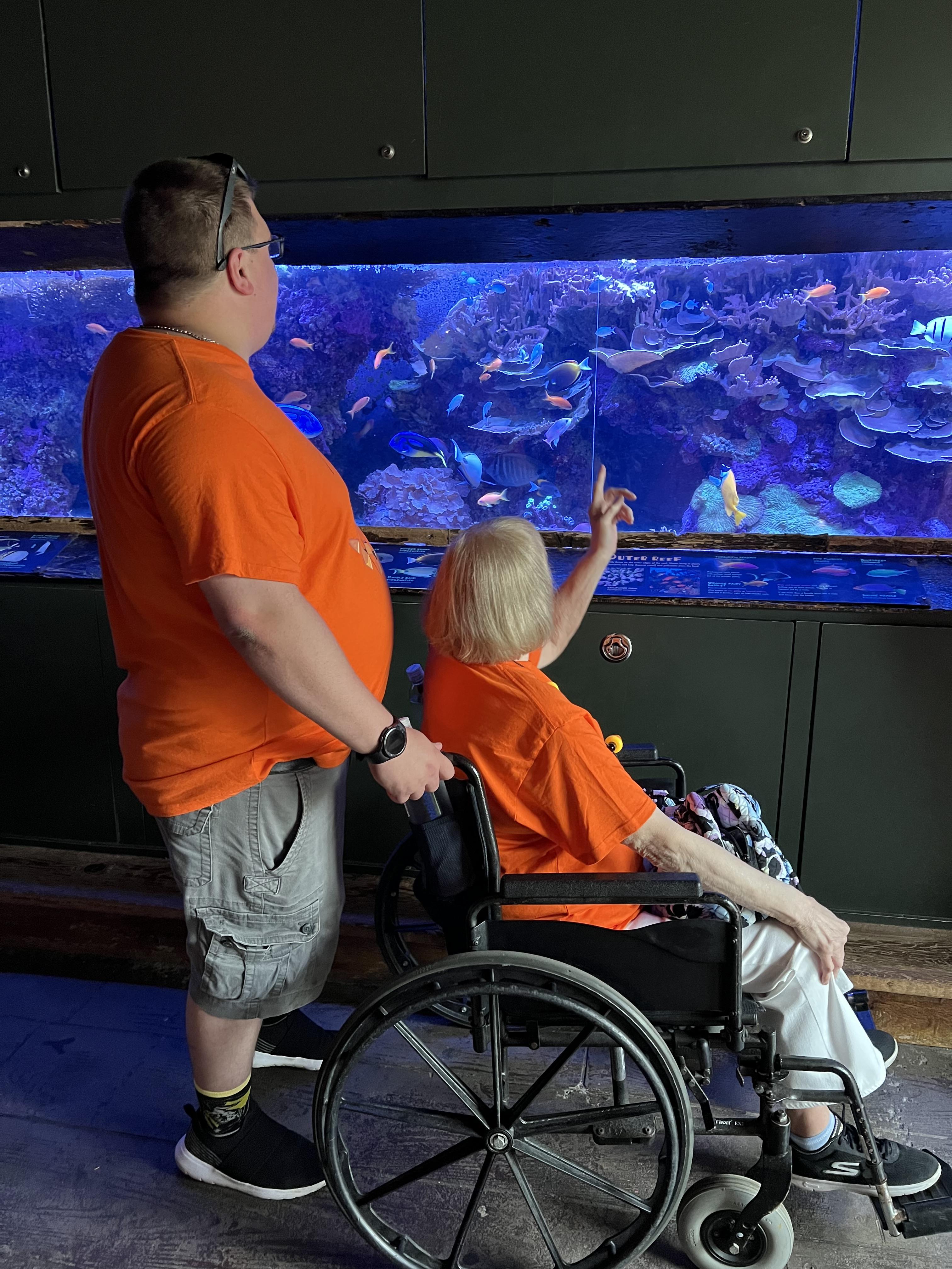 A trip to the aquarium. Gramm…