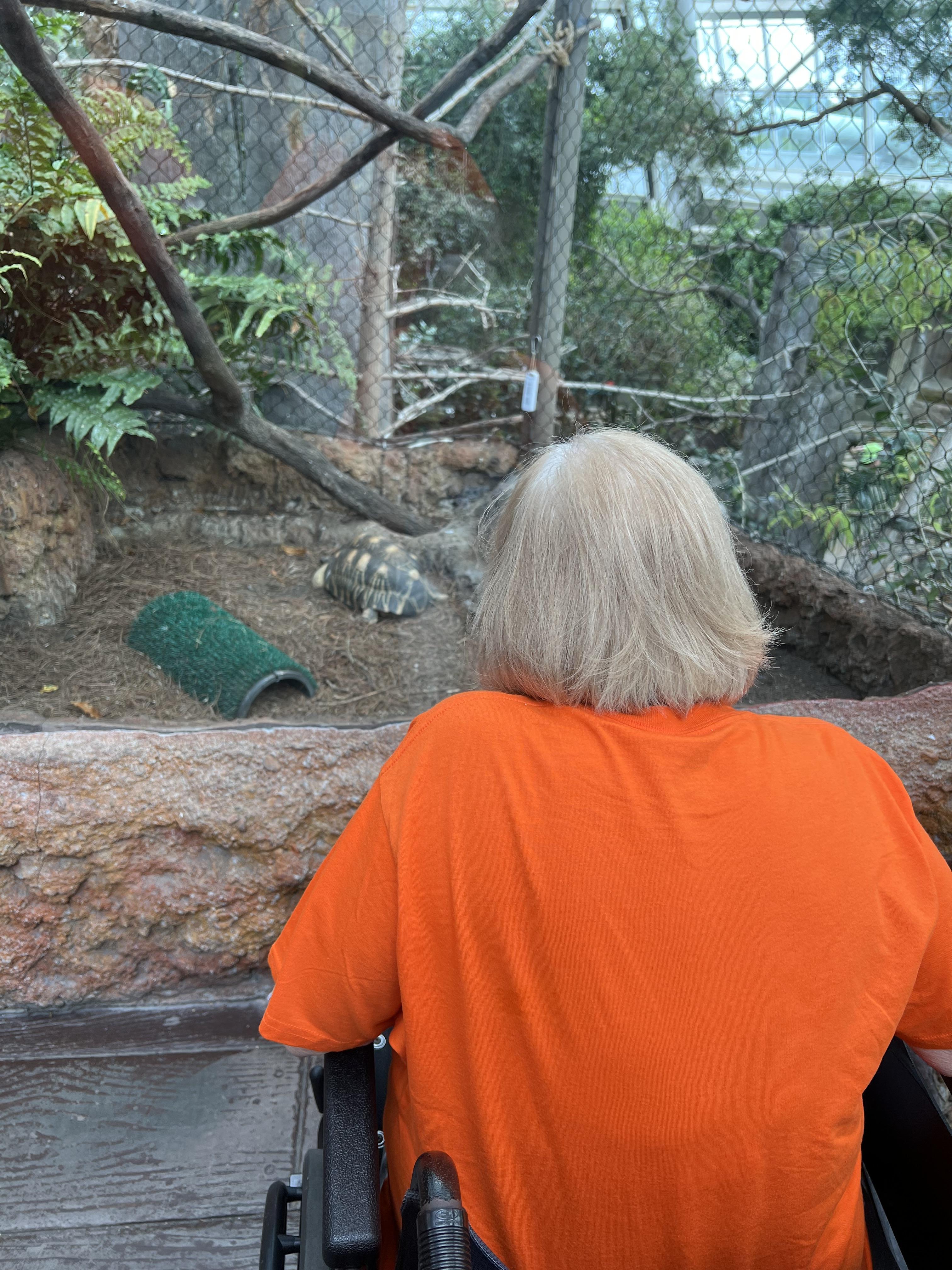 A trip to the aquarium. Gramm…