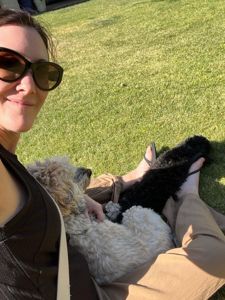 Taking care of my dogs