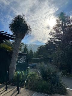 Up in the Berkeley Hills, sur…