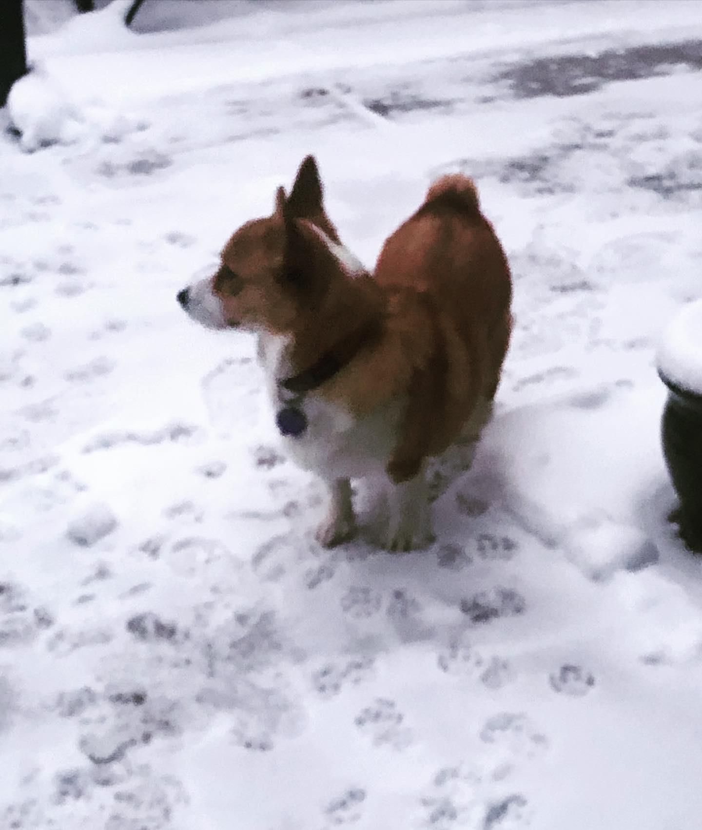 1st snow of 2022