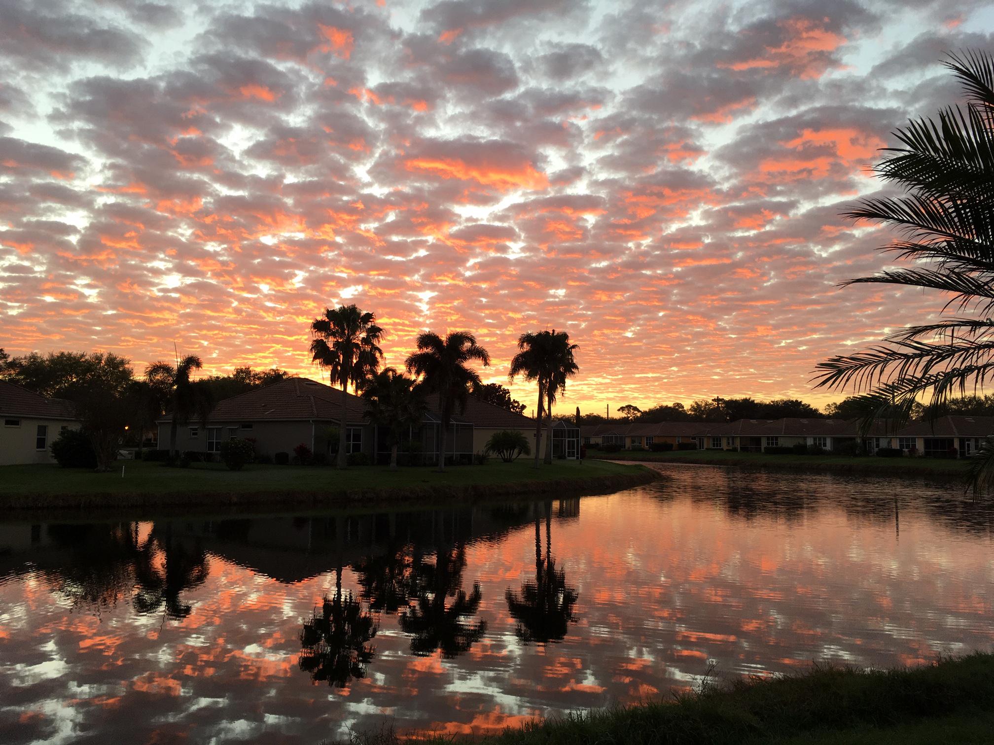 Sunrise Florida House 2019