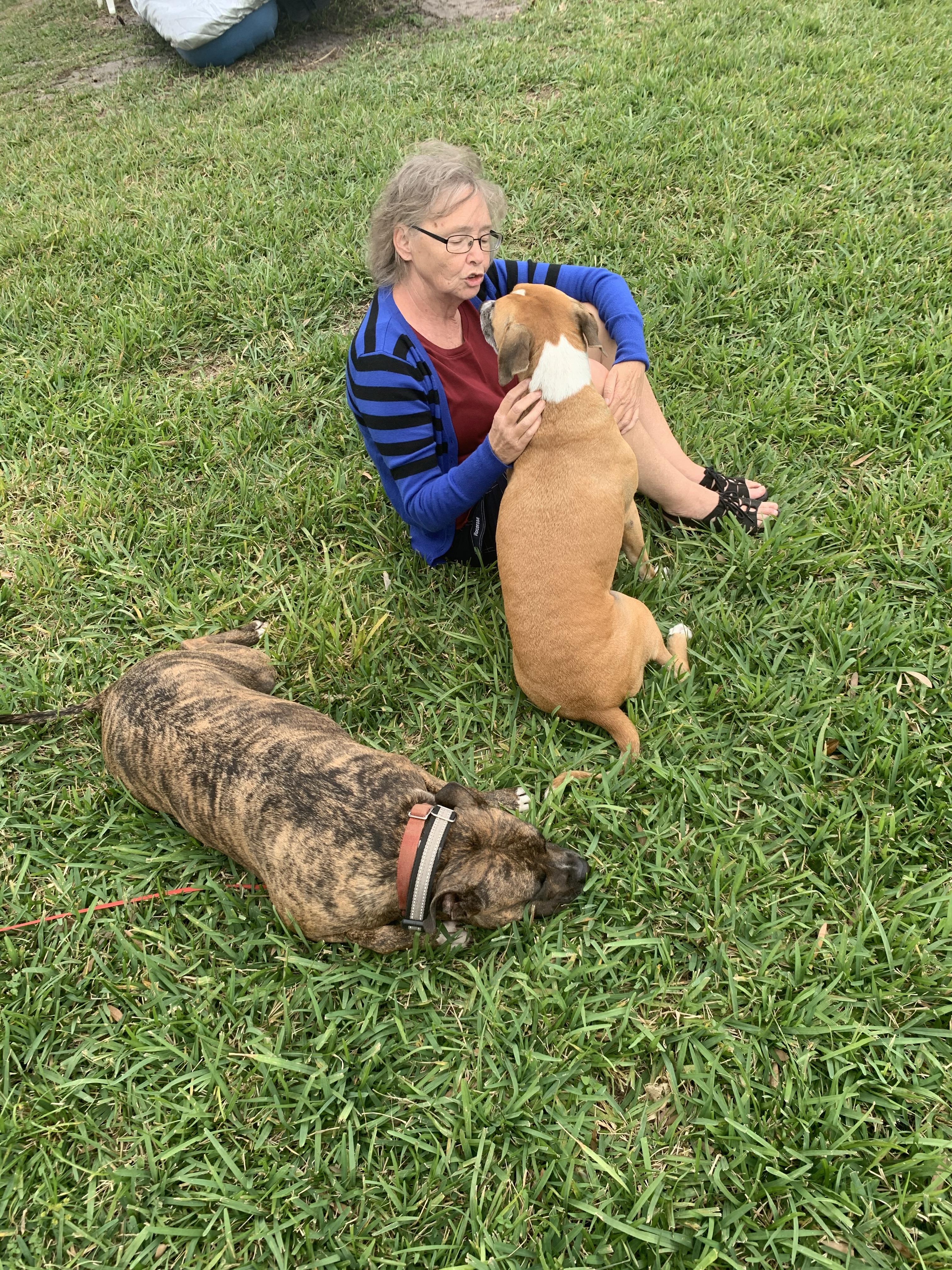 Fun with pups