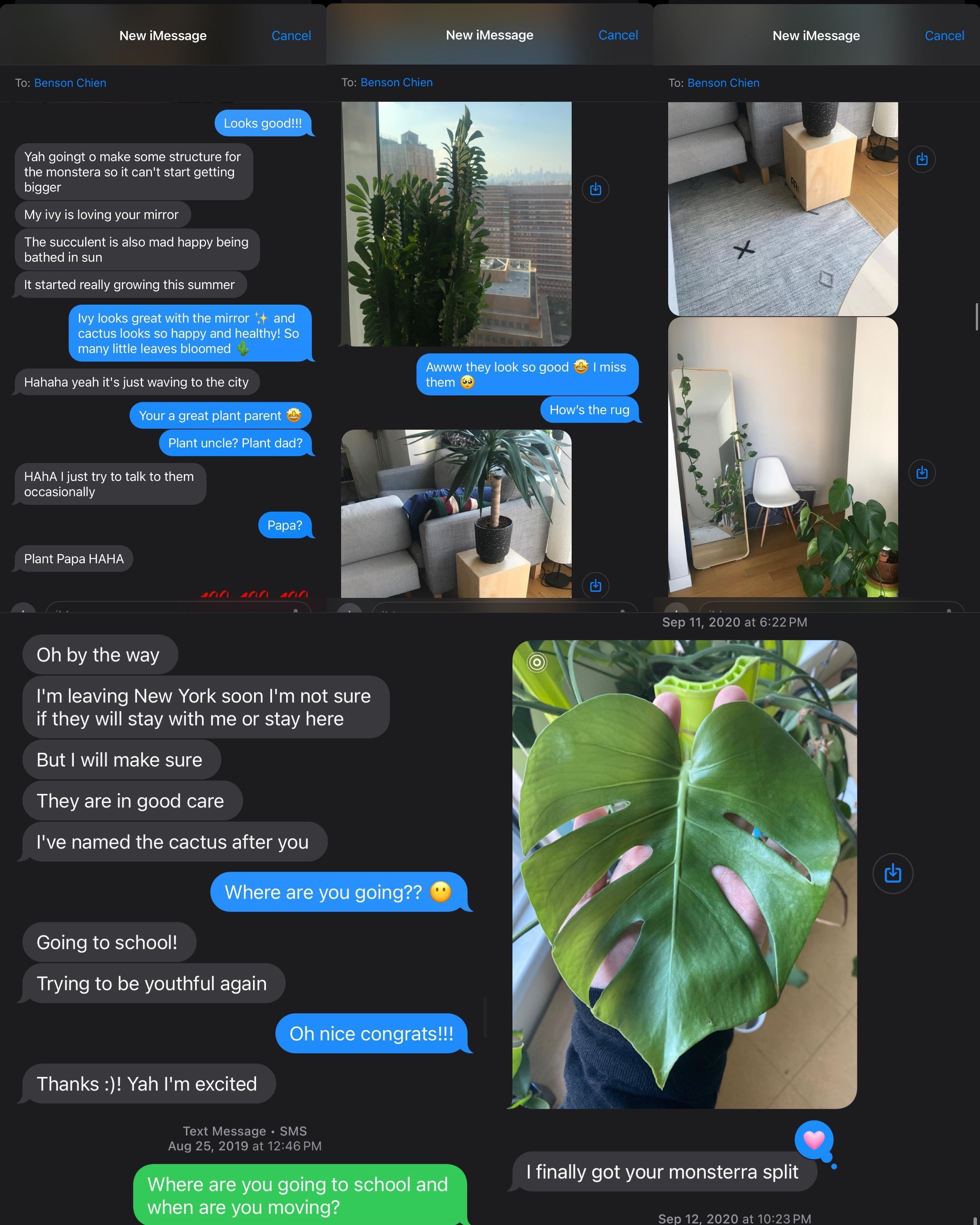 Plant Papa Benson - he took c…