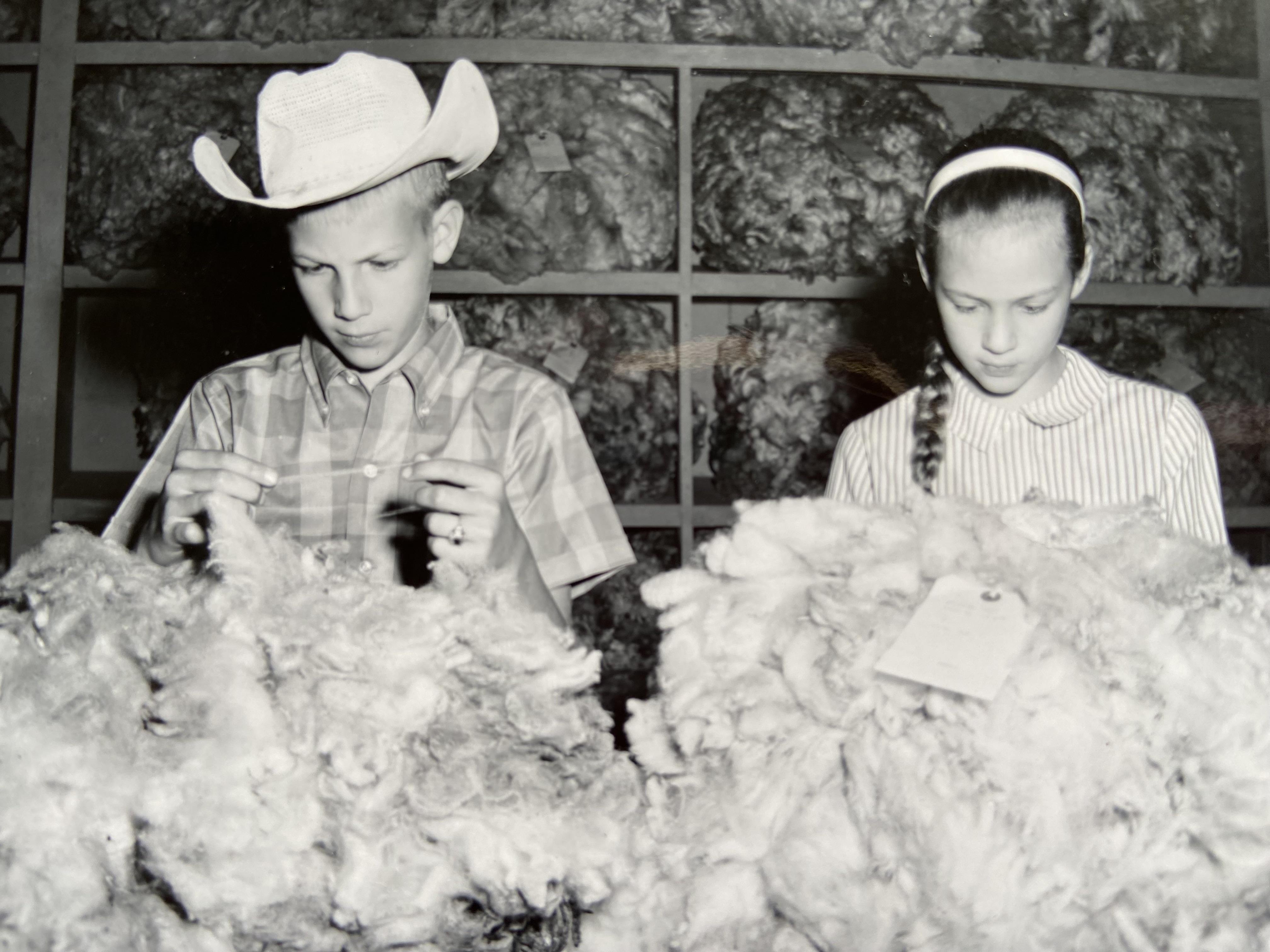 Bill and Laurie grading wool …
