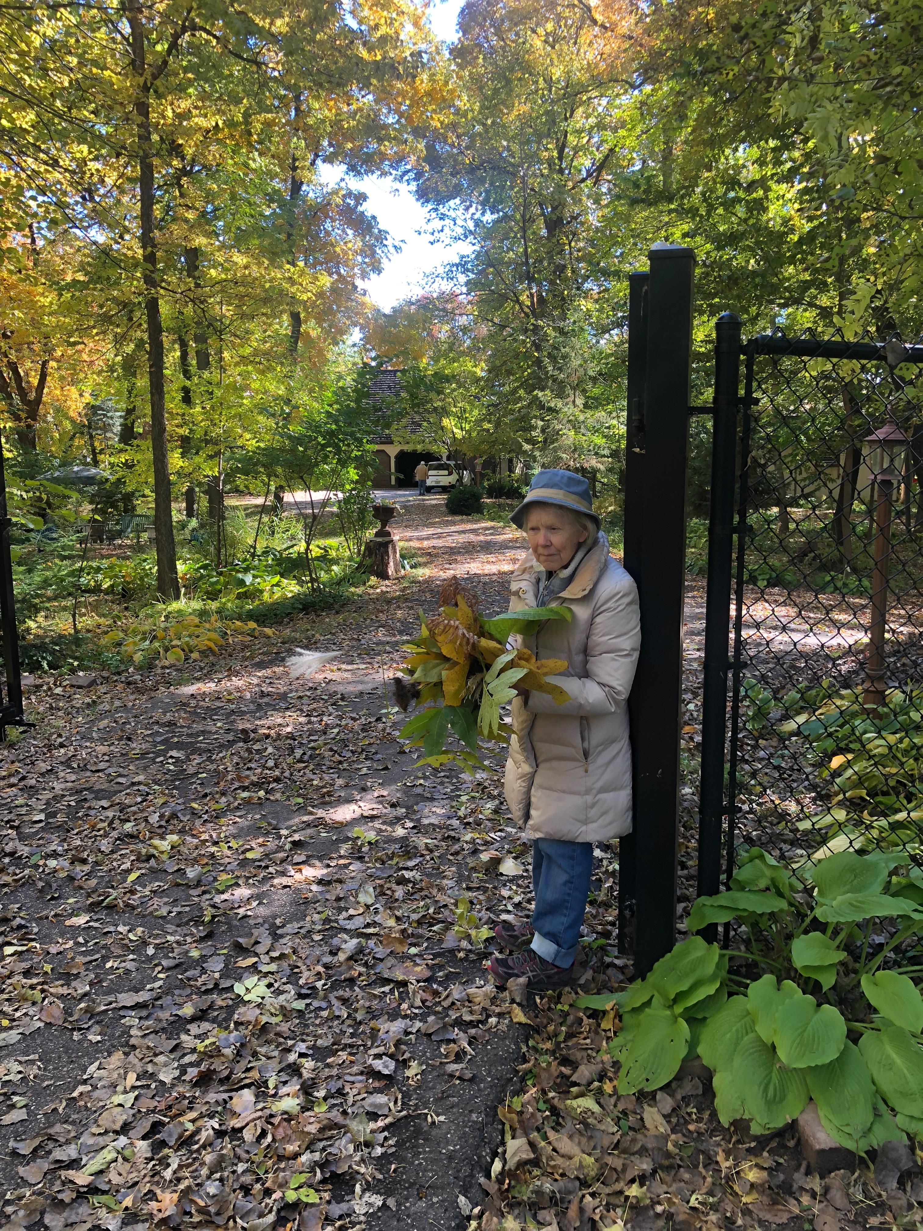 Amy loved to pick leaves and …