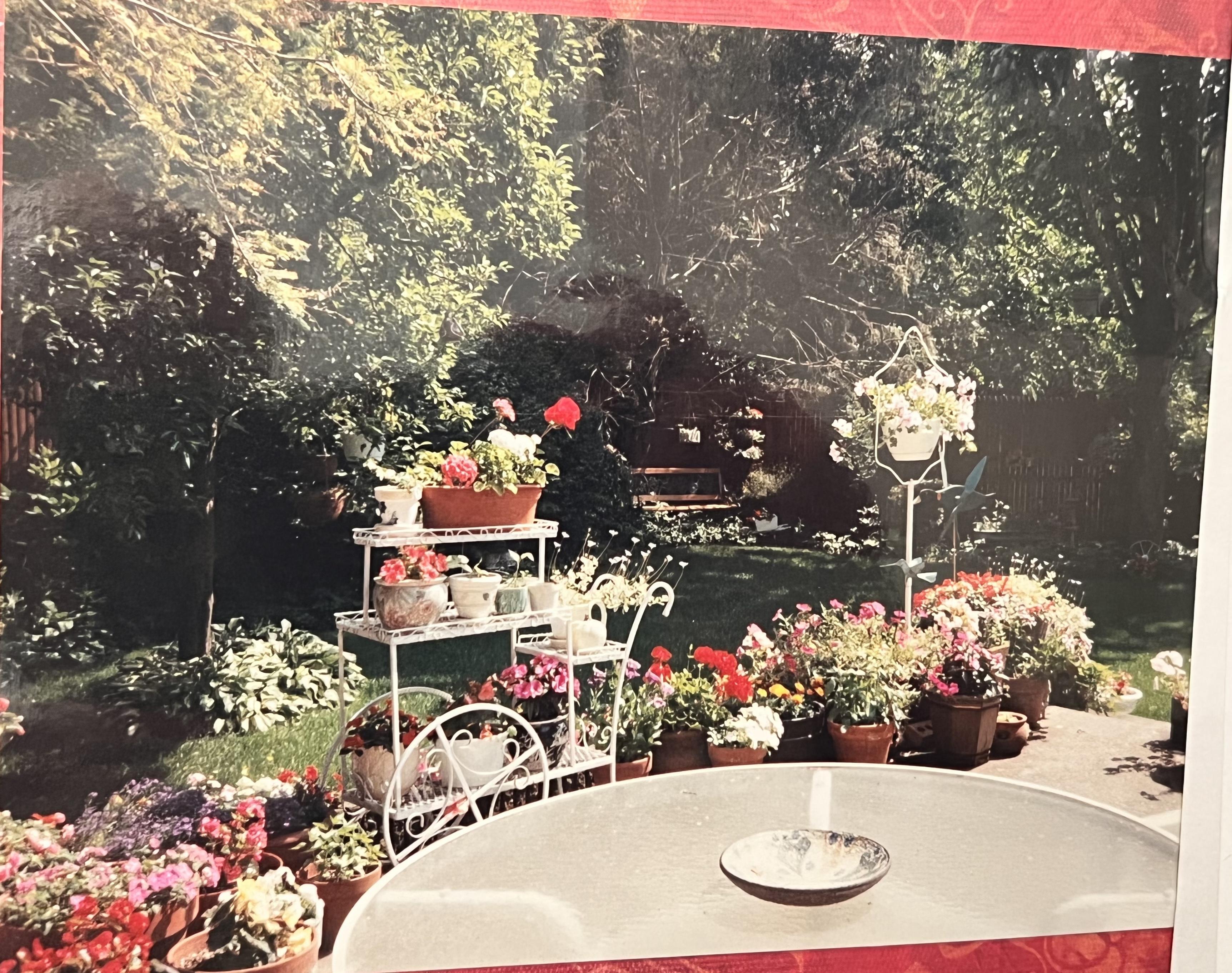 Marty & Esther's backyard…