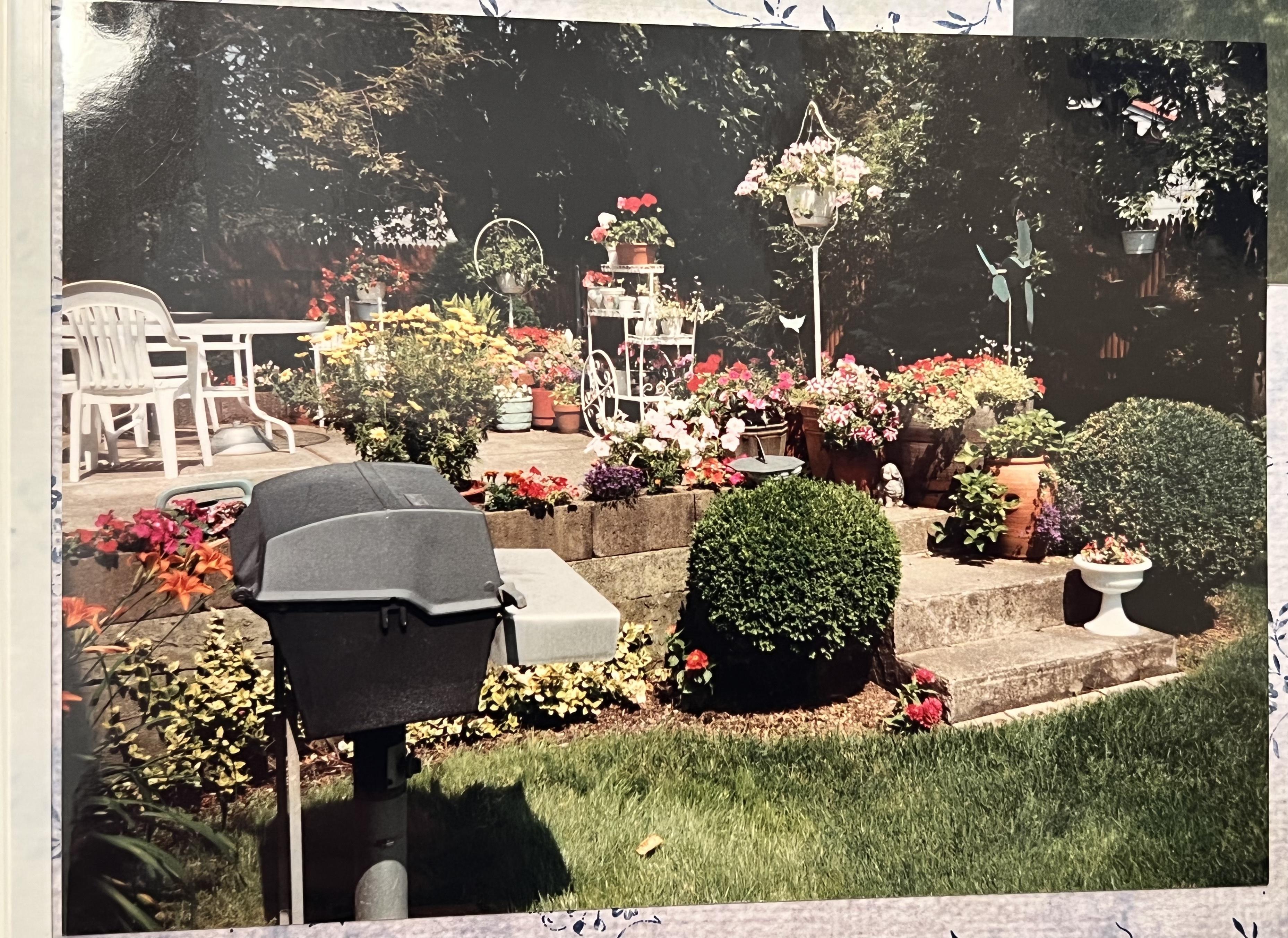Marty & Esther's backyard…