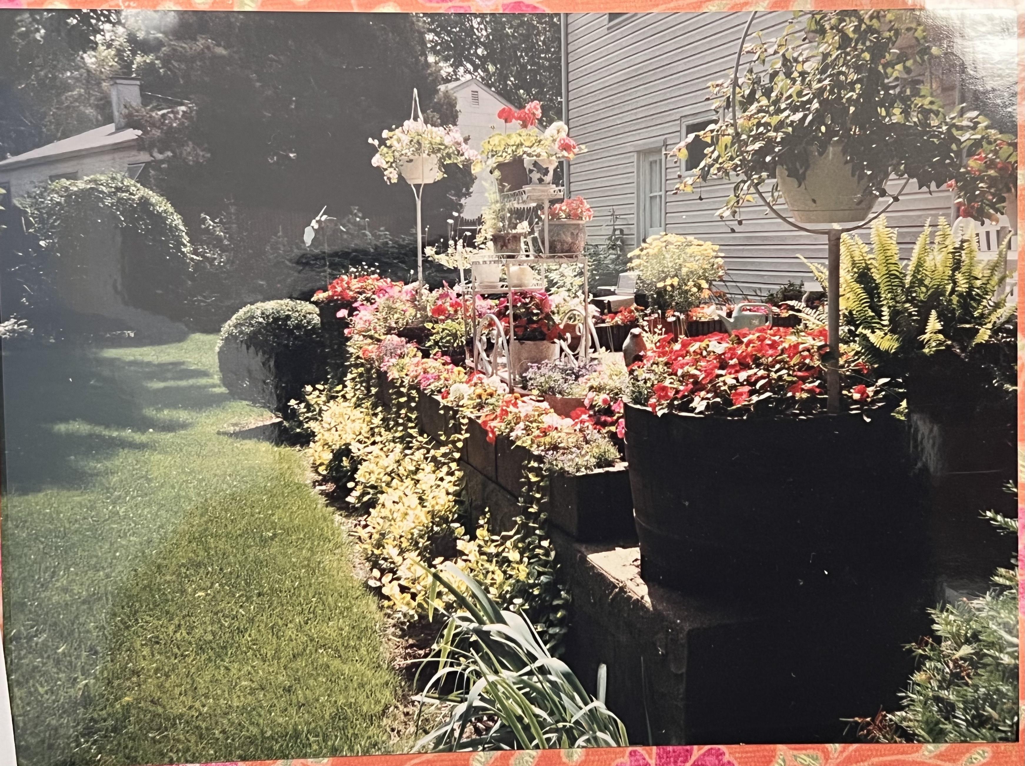 Marty & Esther's backyard…