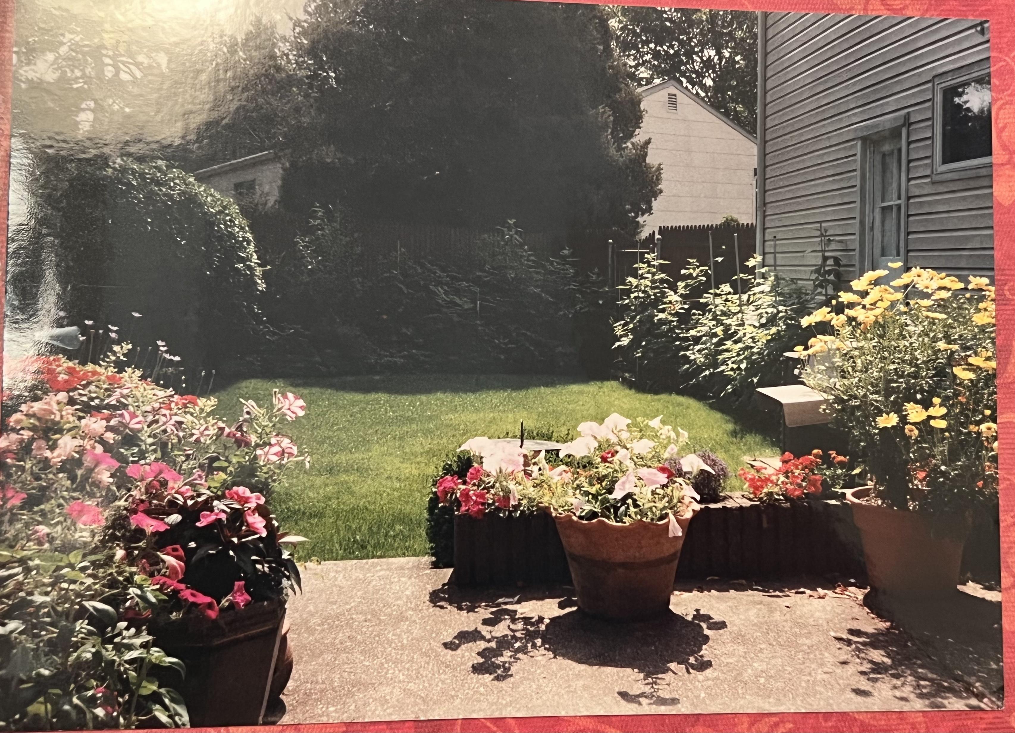 Marty & Esther's backyard…