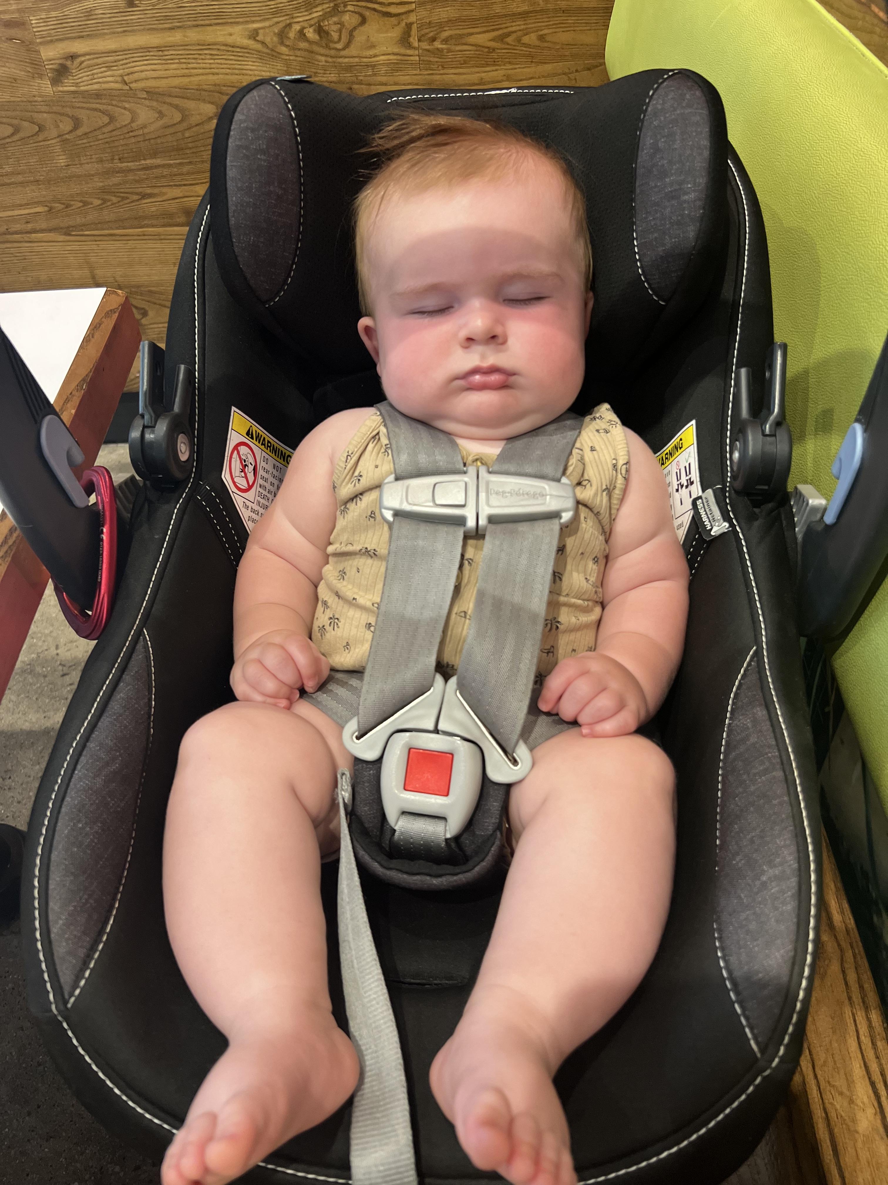 It’s tiring being that adorab…