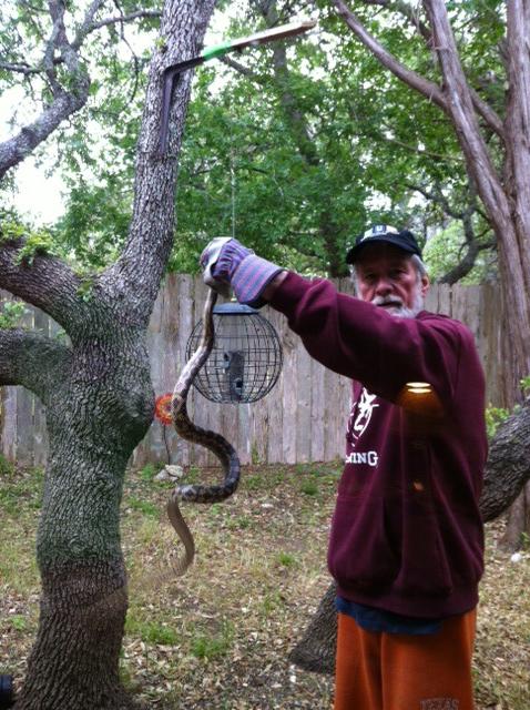 Snake rangling