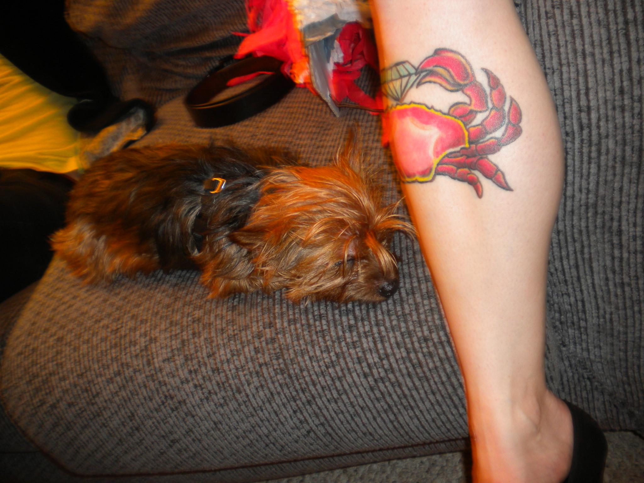 OCT 2010 Birthday!!! Featurin…