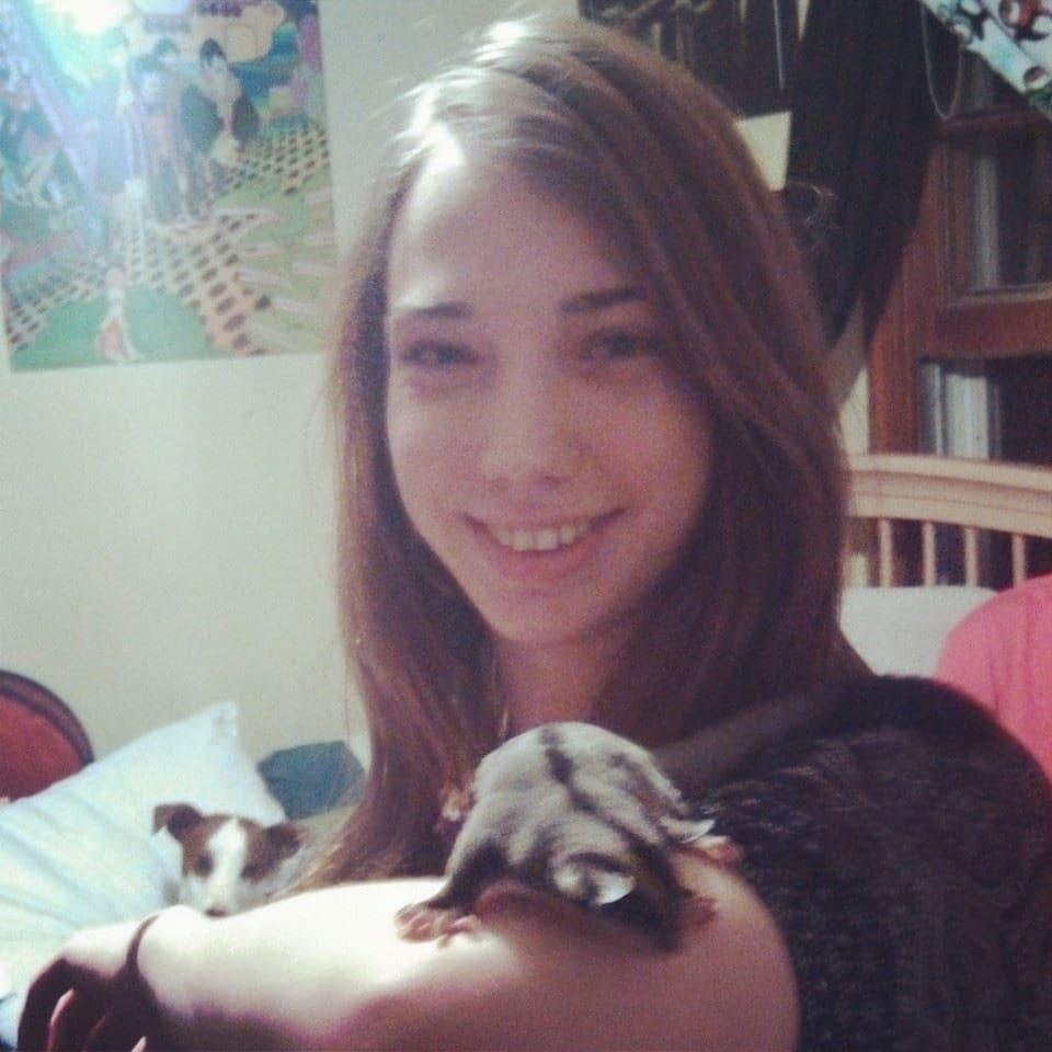 Cookie and my sugar glider