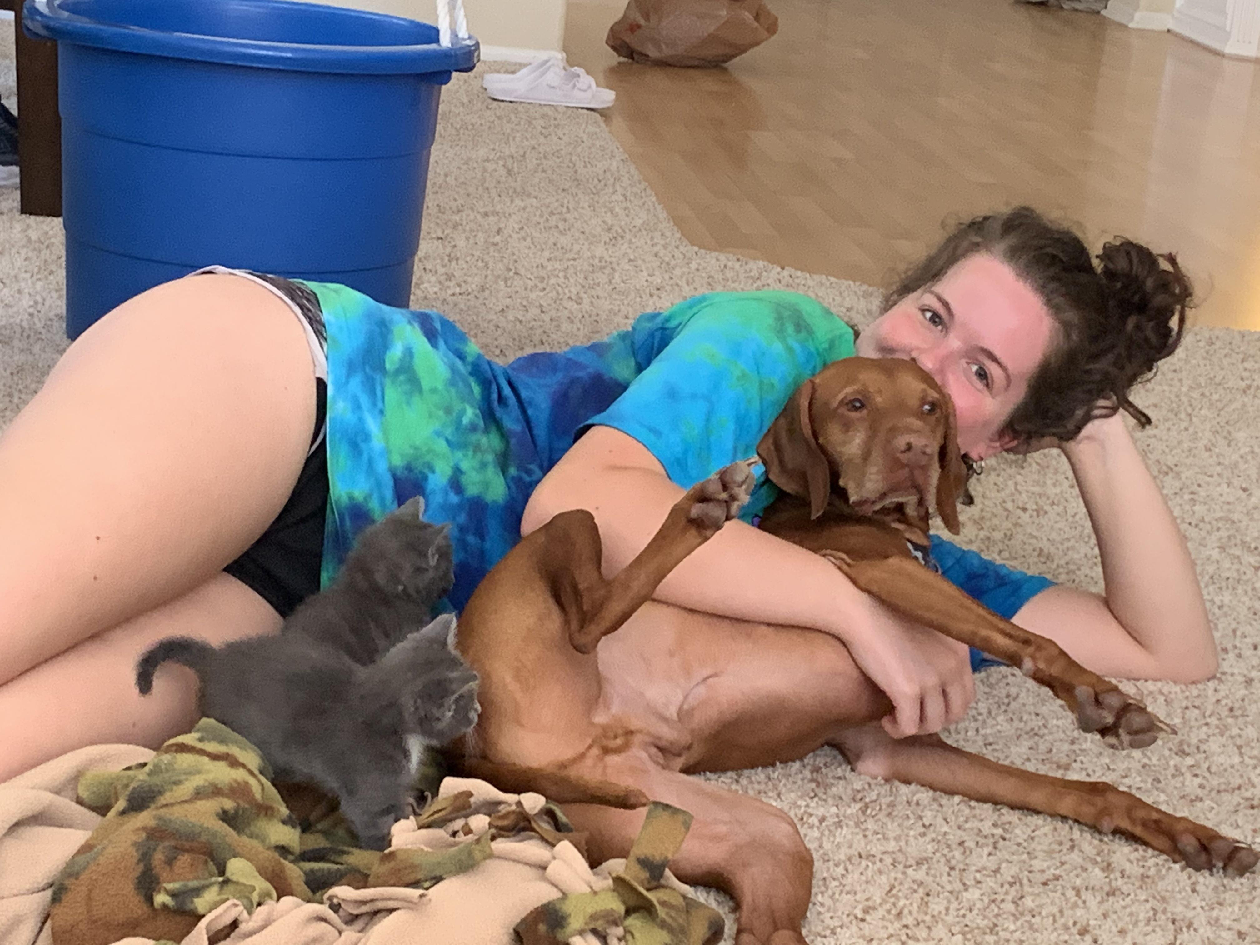 Sam, Duke and foster kitties …