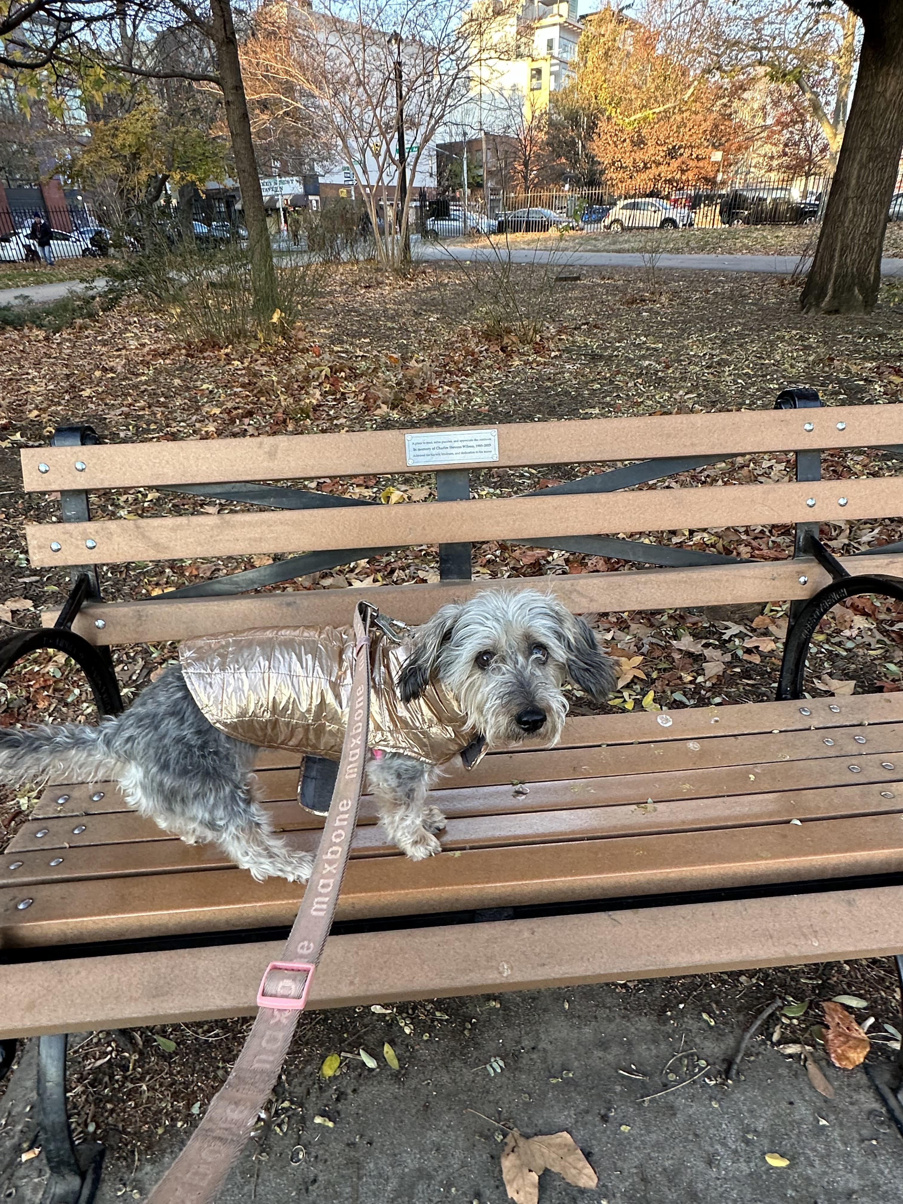 Visit Charlie’s bench at McCa…