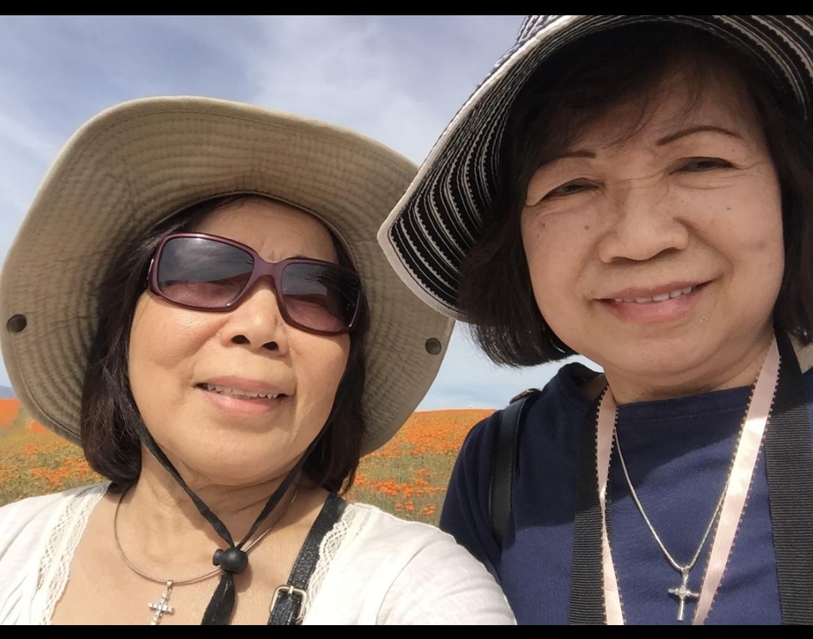 A trip to view poppy super bl…