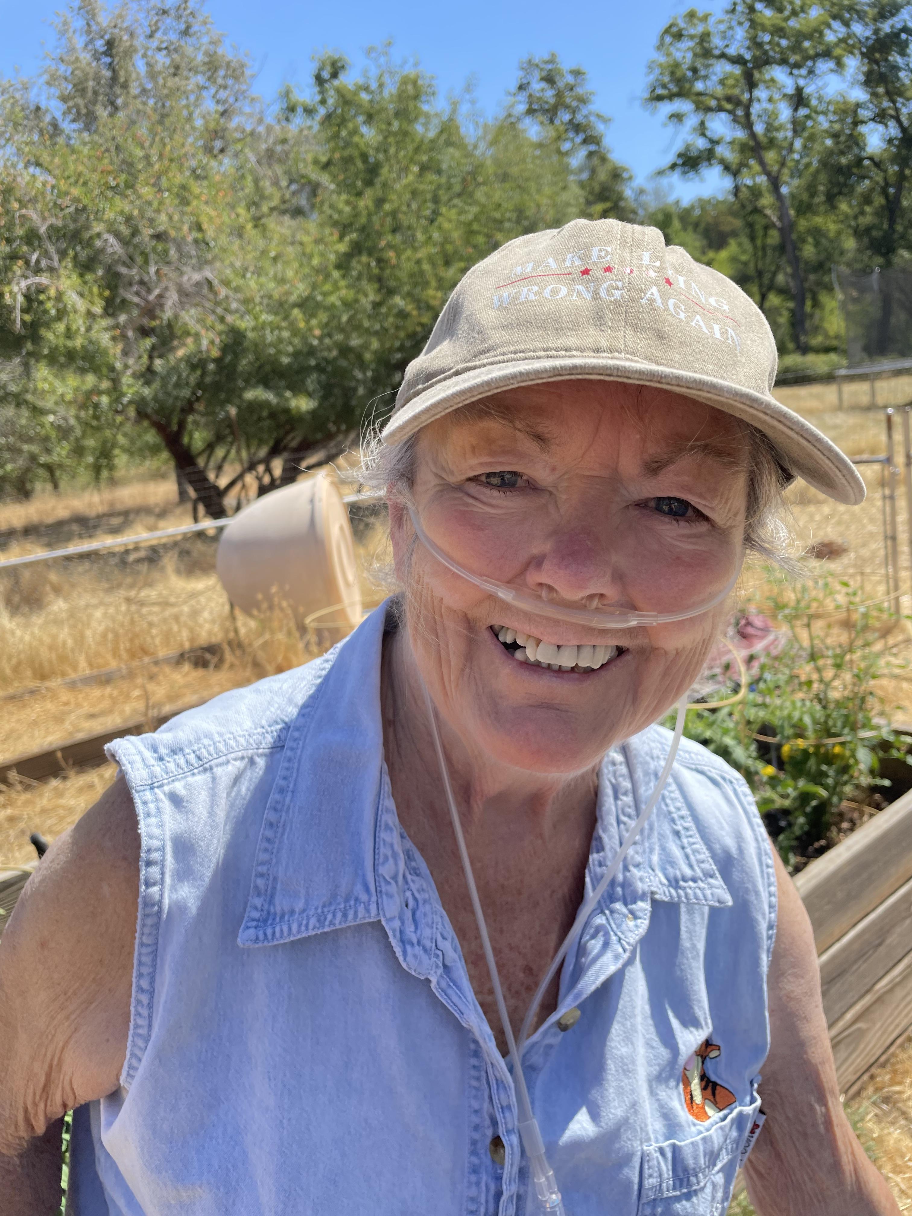 In the tomato garden, 2025